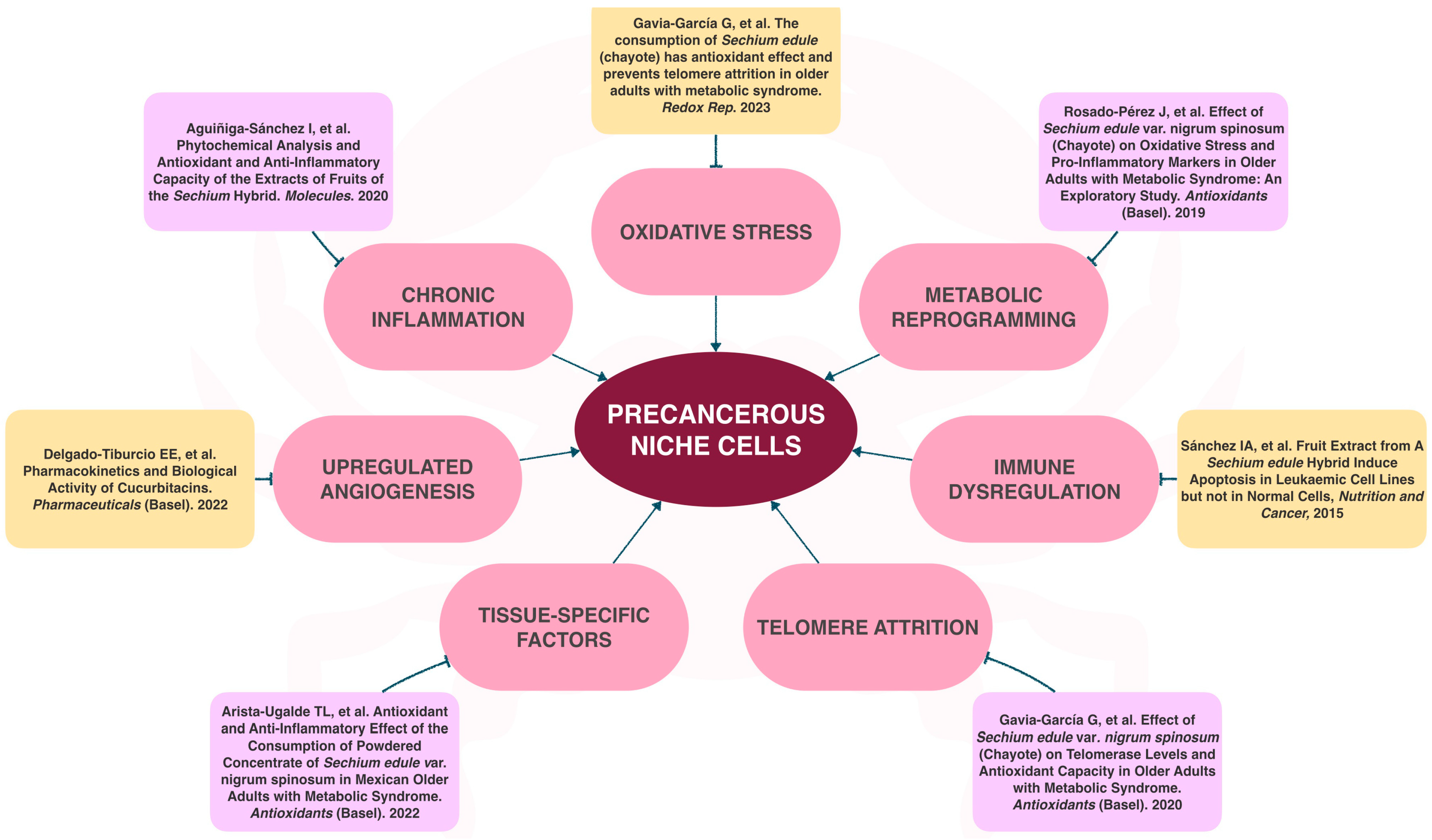 Ijms 25 11477 g003 Ijms 25 11477 g003