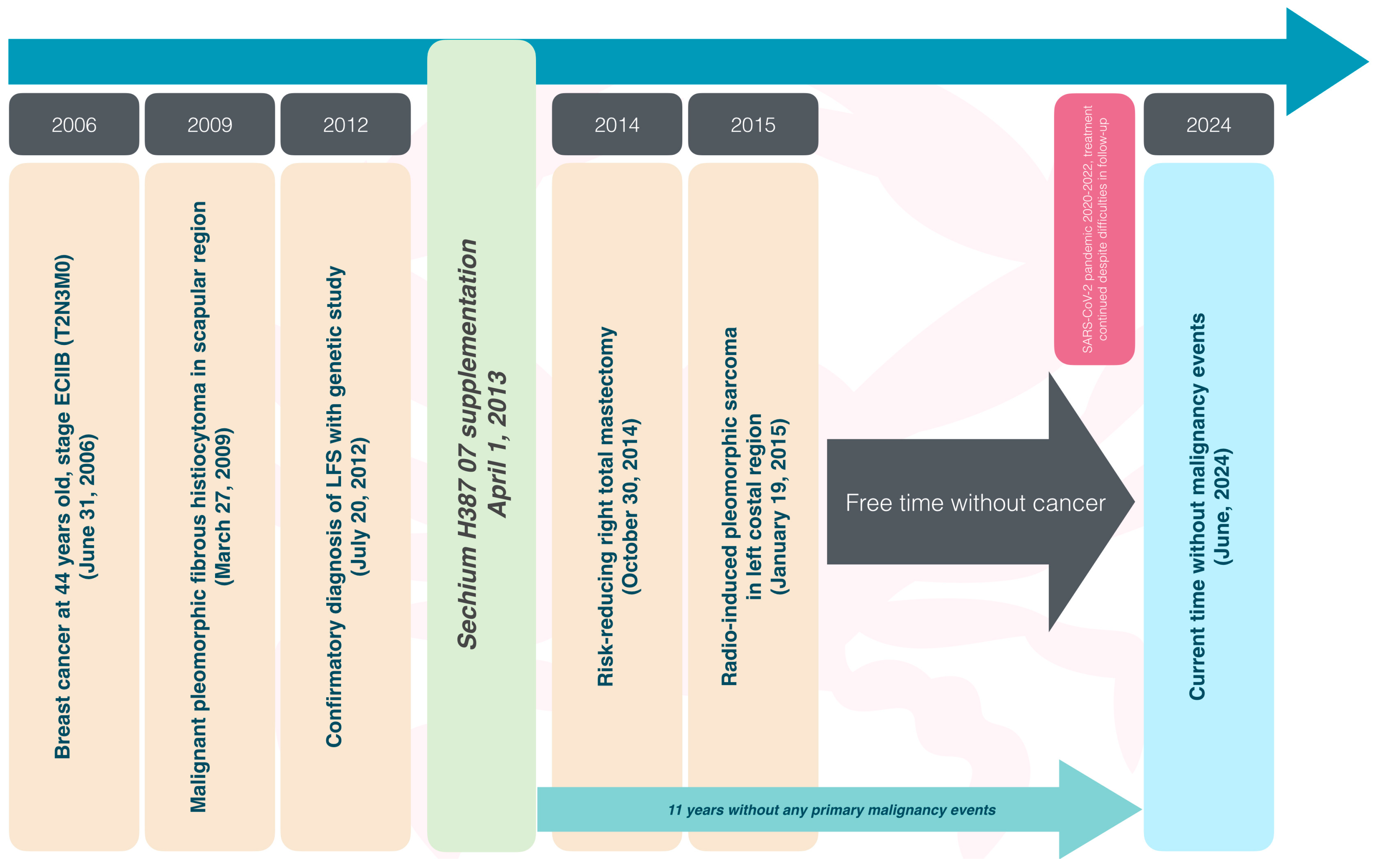 Ijms 25 11477 g004 Ijms 25 11477 g004