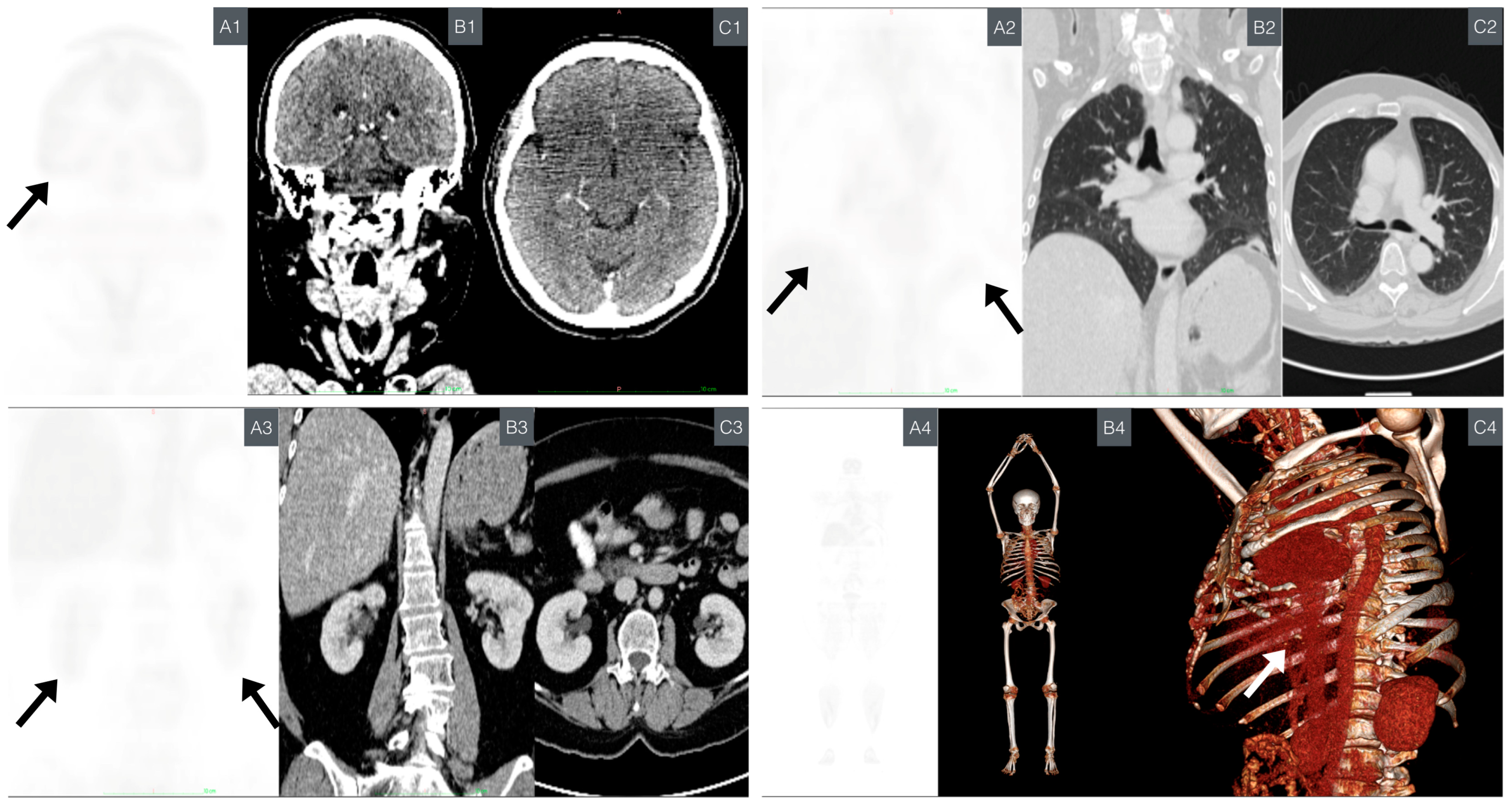 Ijms 25 11477 g006 Ijms 25 11477 g006