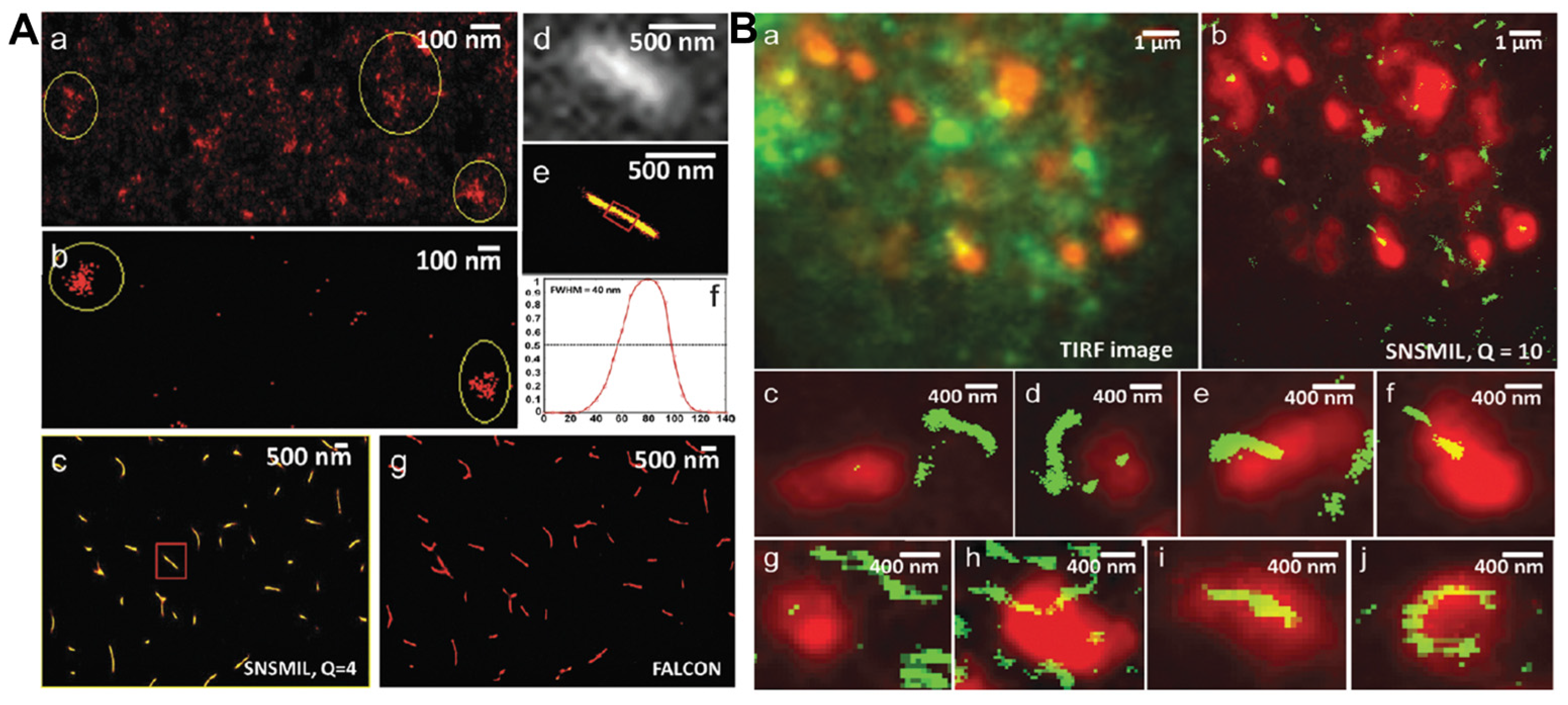 Ijms 25 11497 g005 Ijms 25 11497 g005