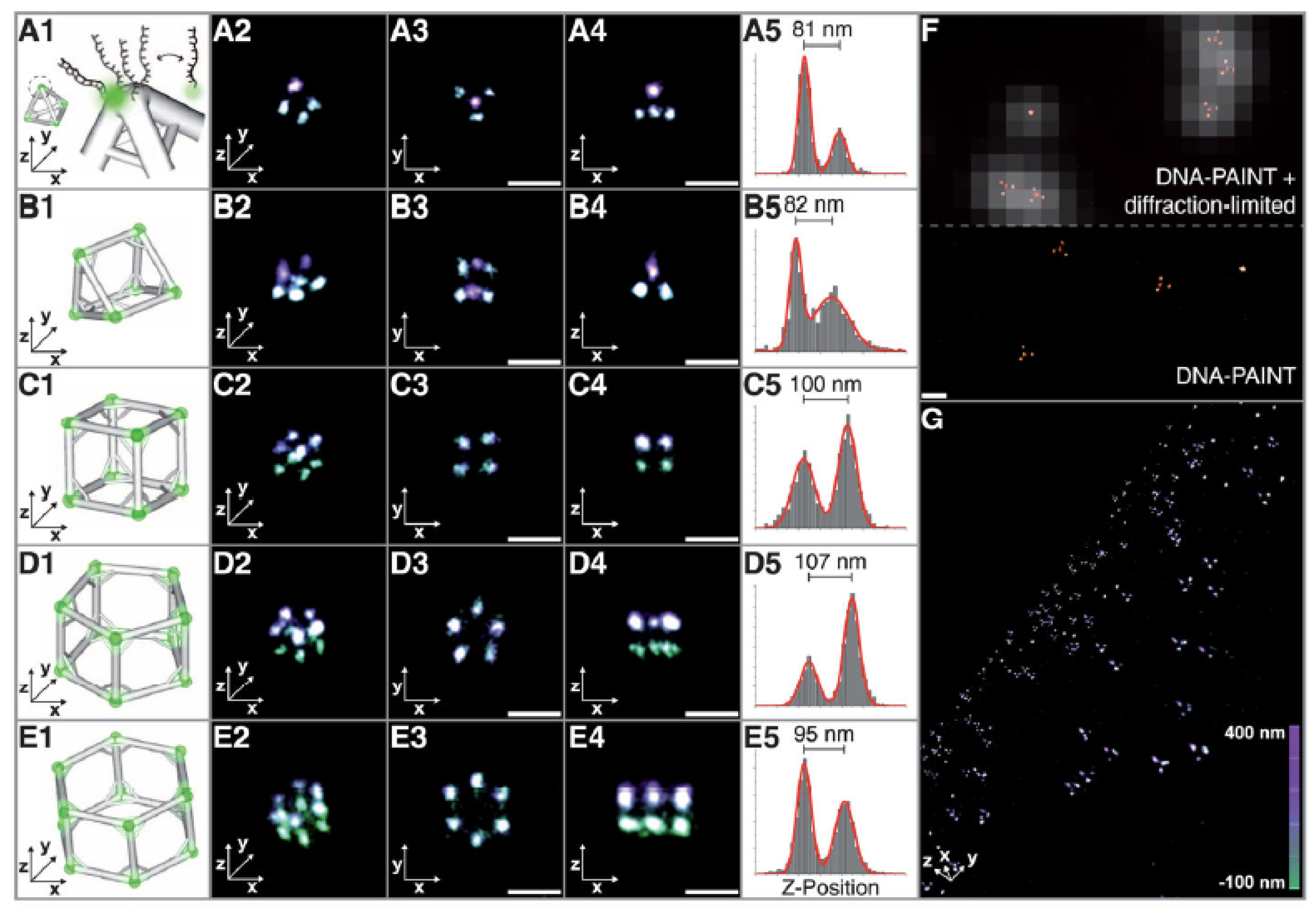 Ijms 25 11497 g006 Ijms 25 11497 g006