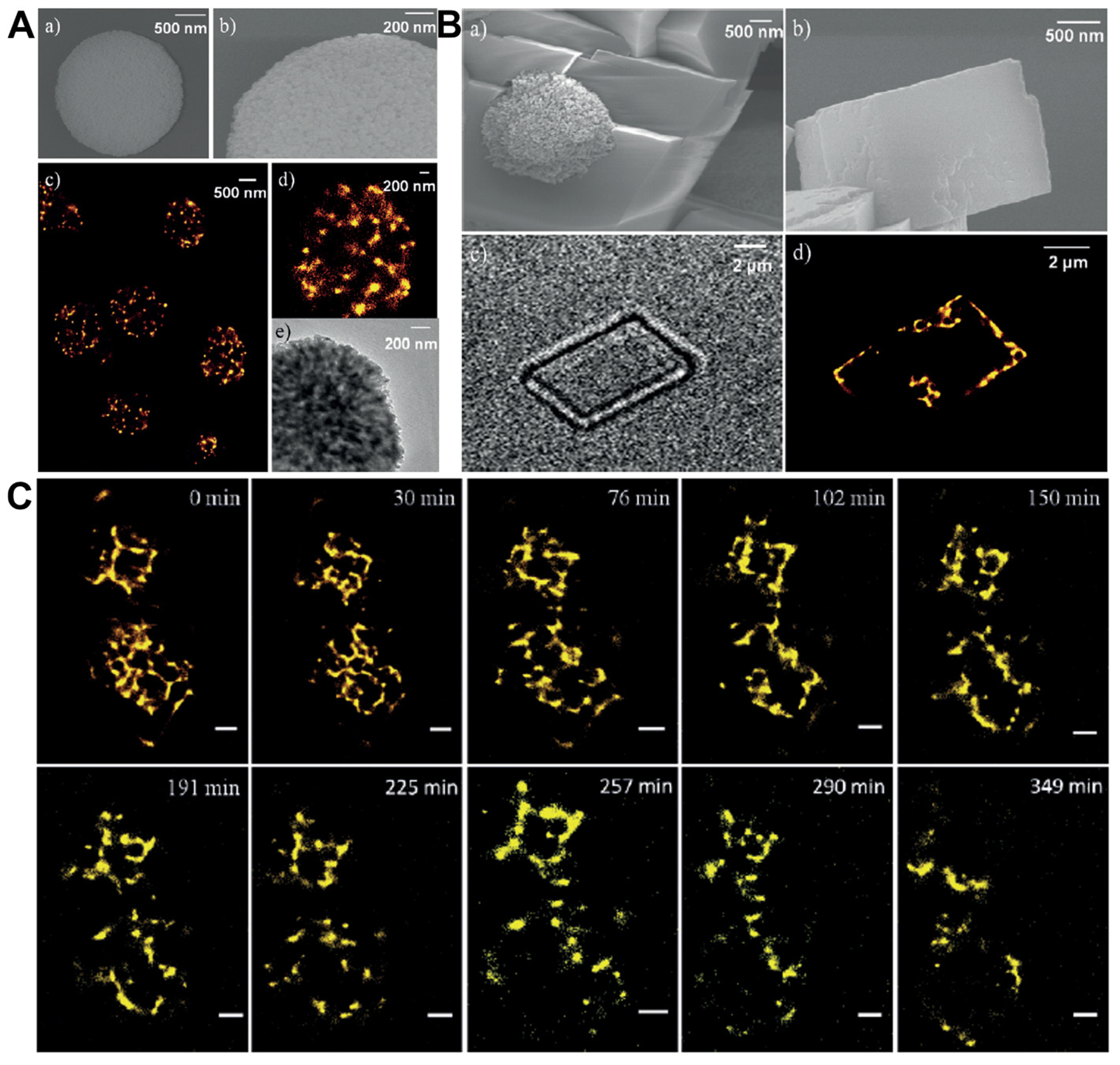 Ijms 25 11497 g007 Ijms 25 11497 g007