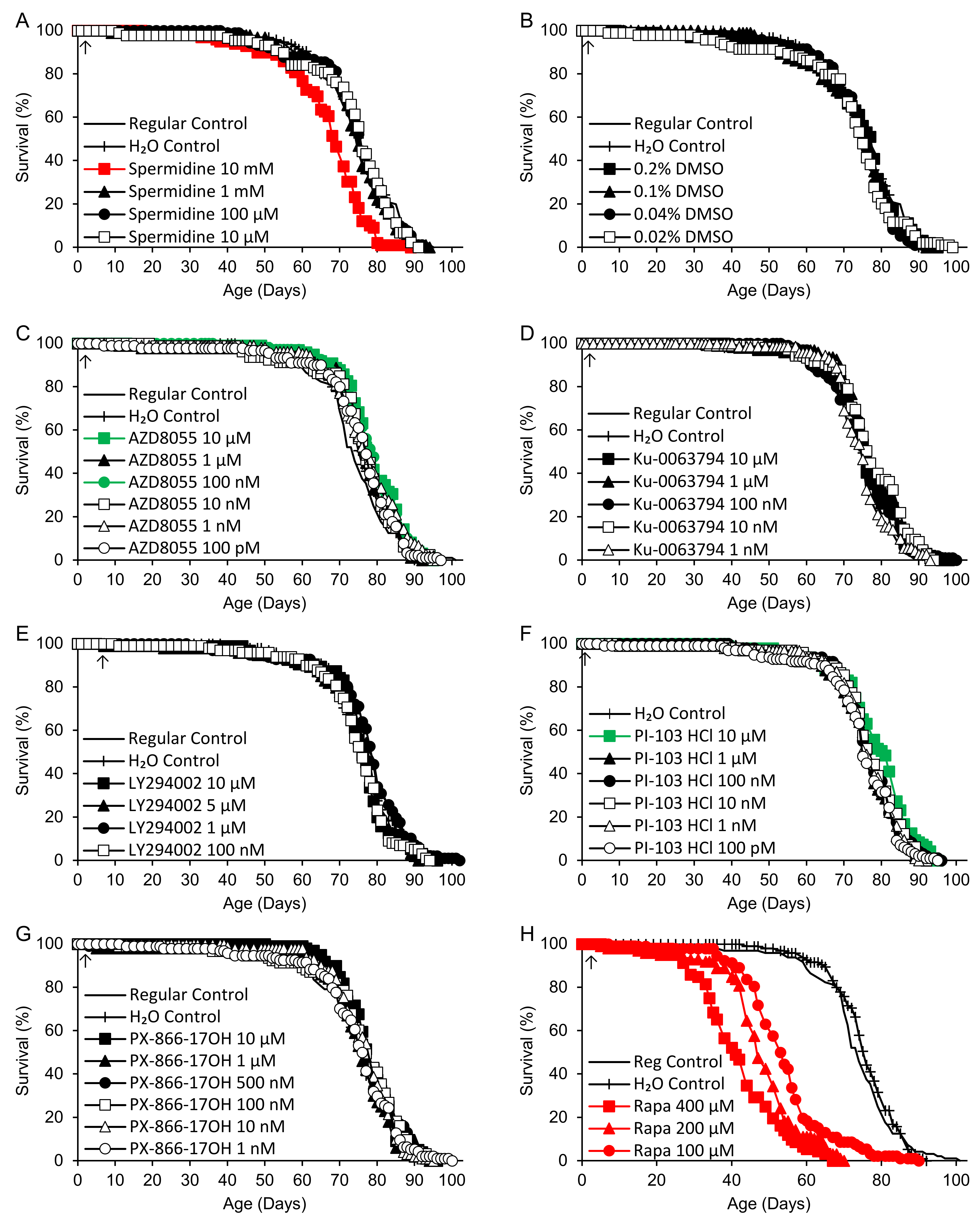 Ijms 25 11504 g002a Ijms 25 11504 g002a