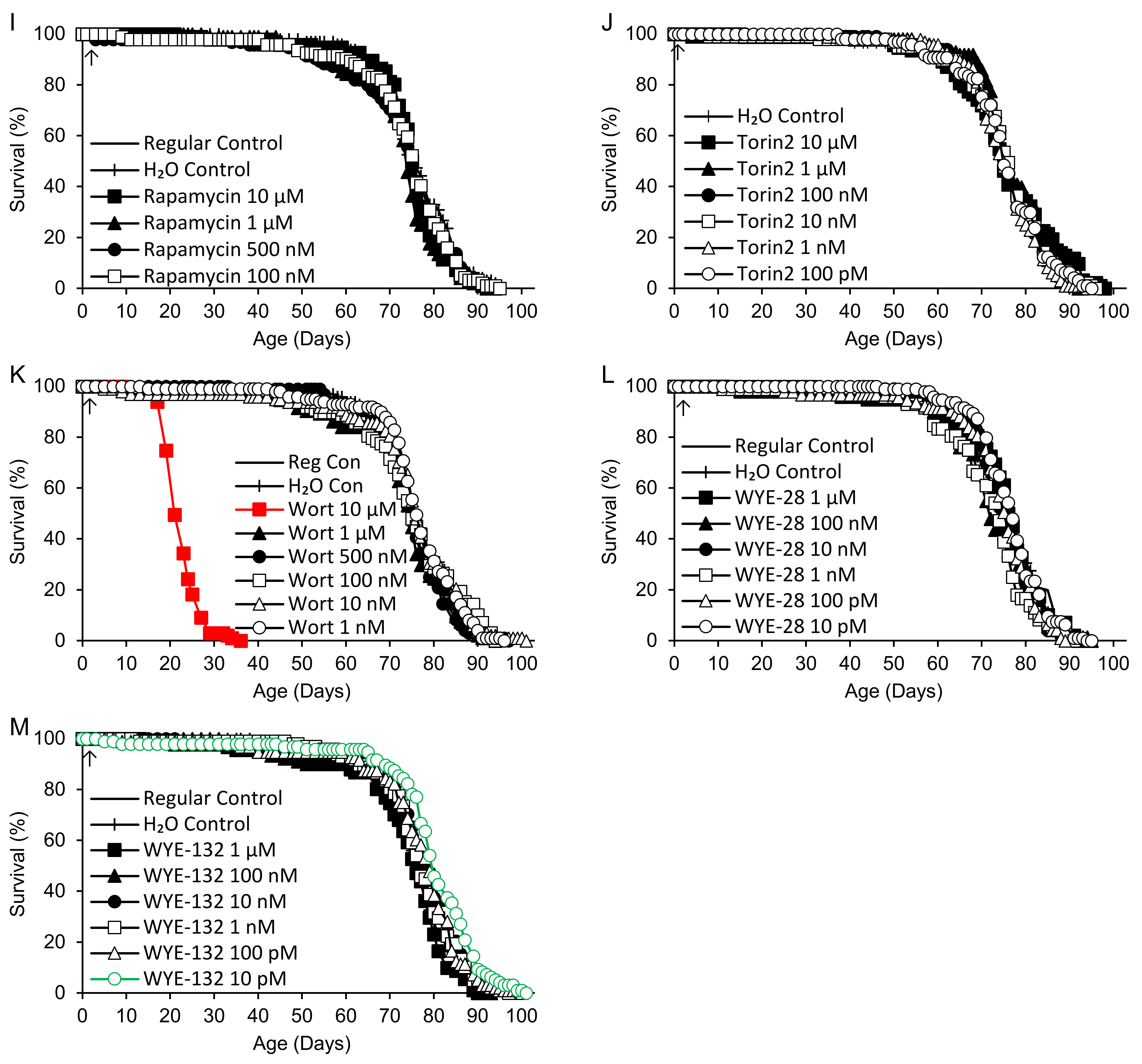 Ijms 25 11504 g002b Ijms 25 11504 g002b