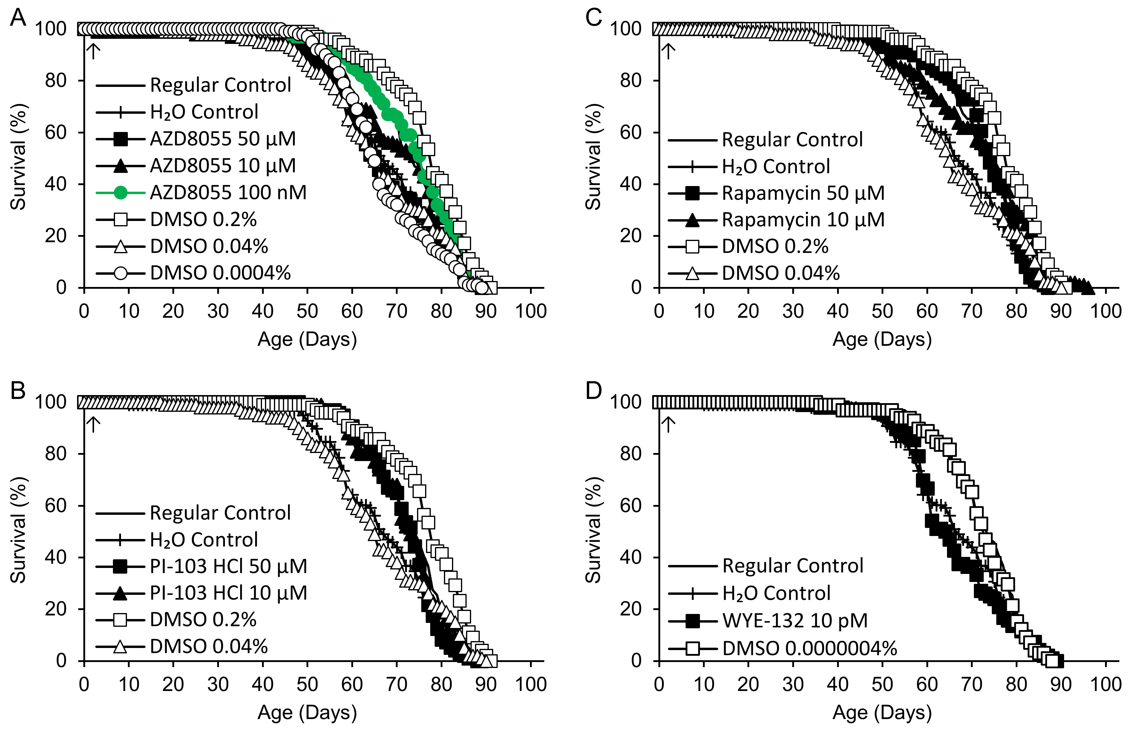 Ijms 25 11504 g003 Ijms 25 11504 g003