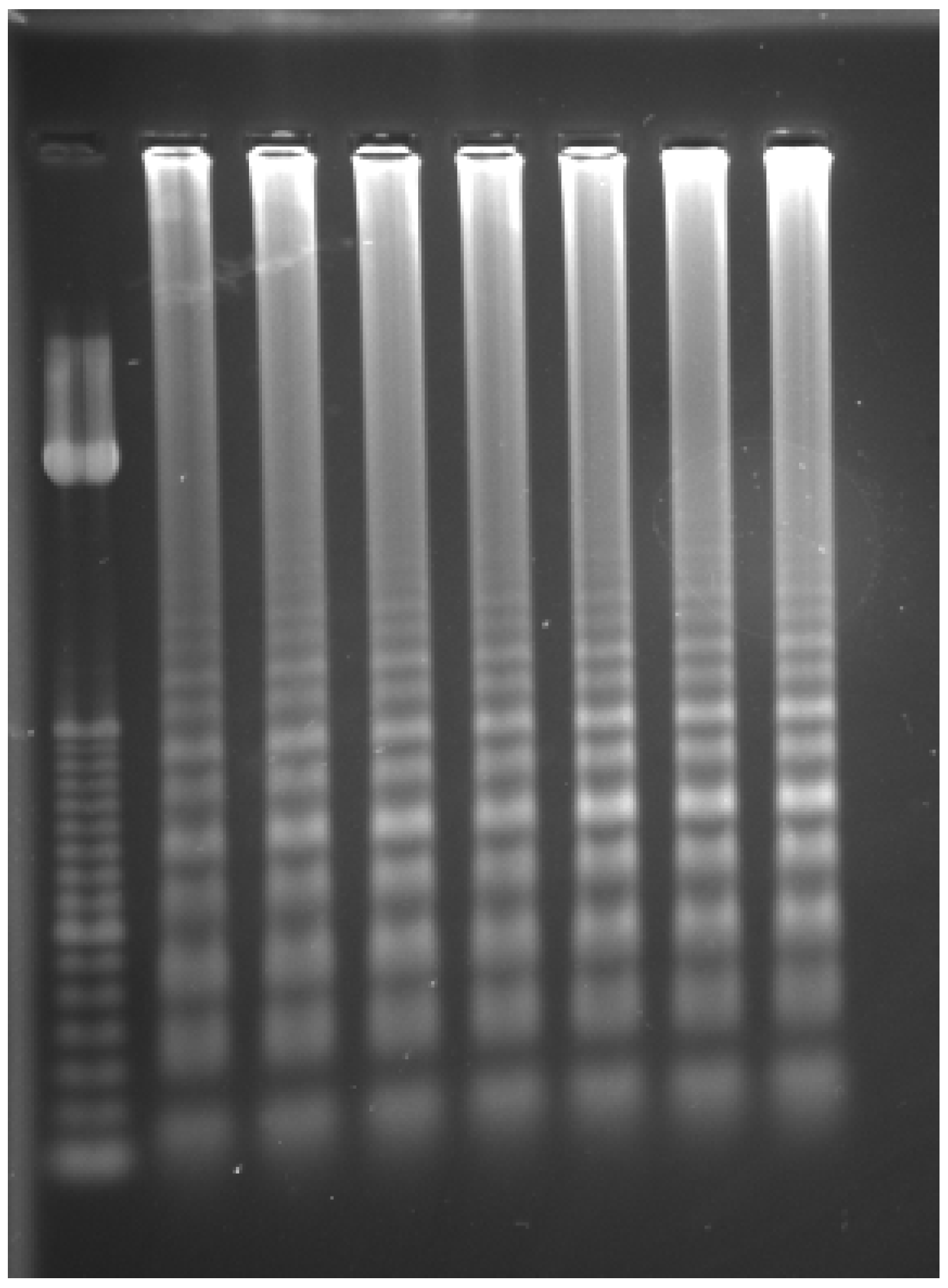 Ijms 25 11506 g003 Ijms 25 11506 g003