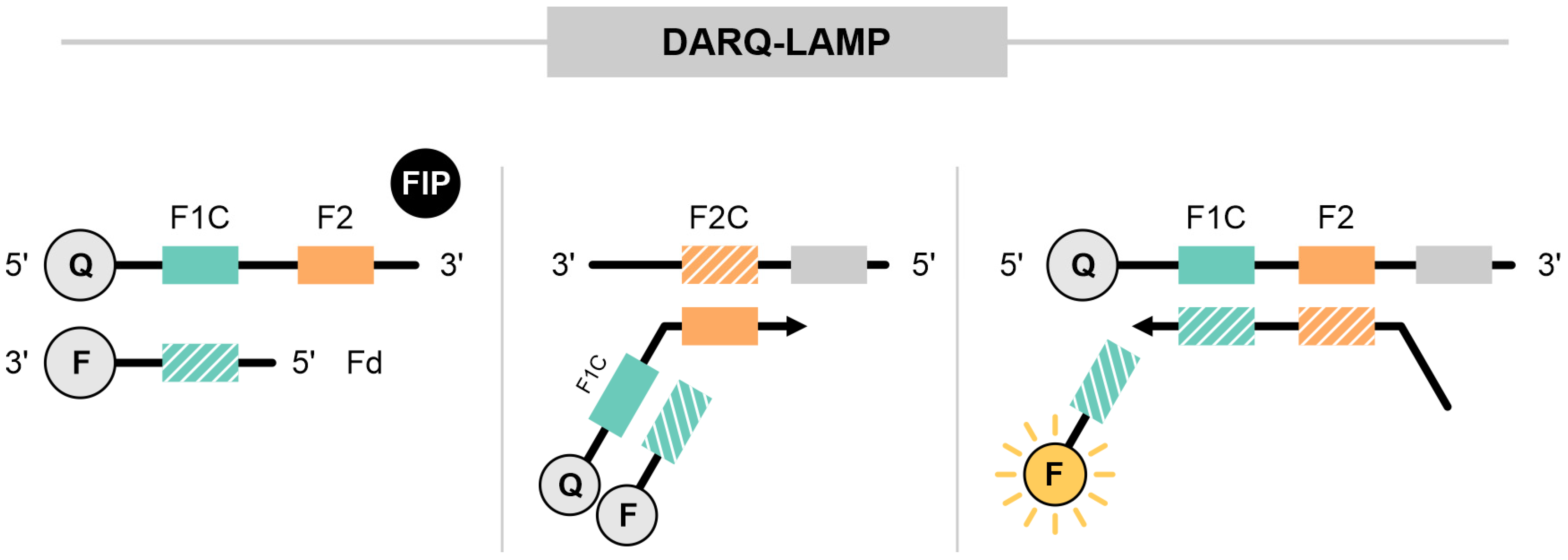 Ijms 25 11506 g006 Ijms 25 11506 g006