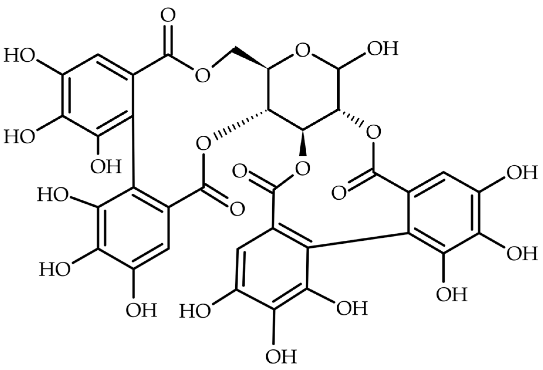 Ijms 25 11511 g001 Ijms 25 11511 g001