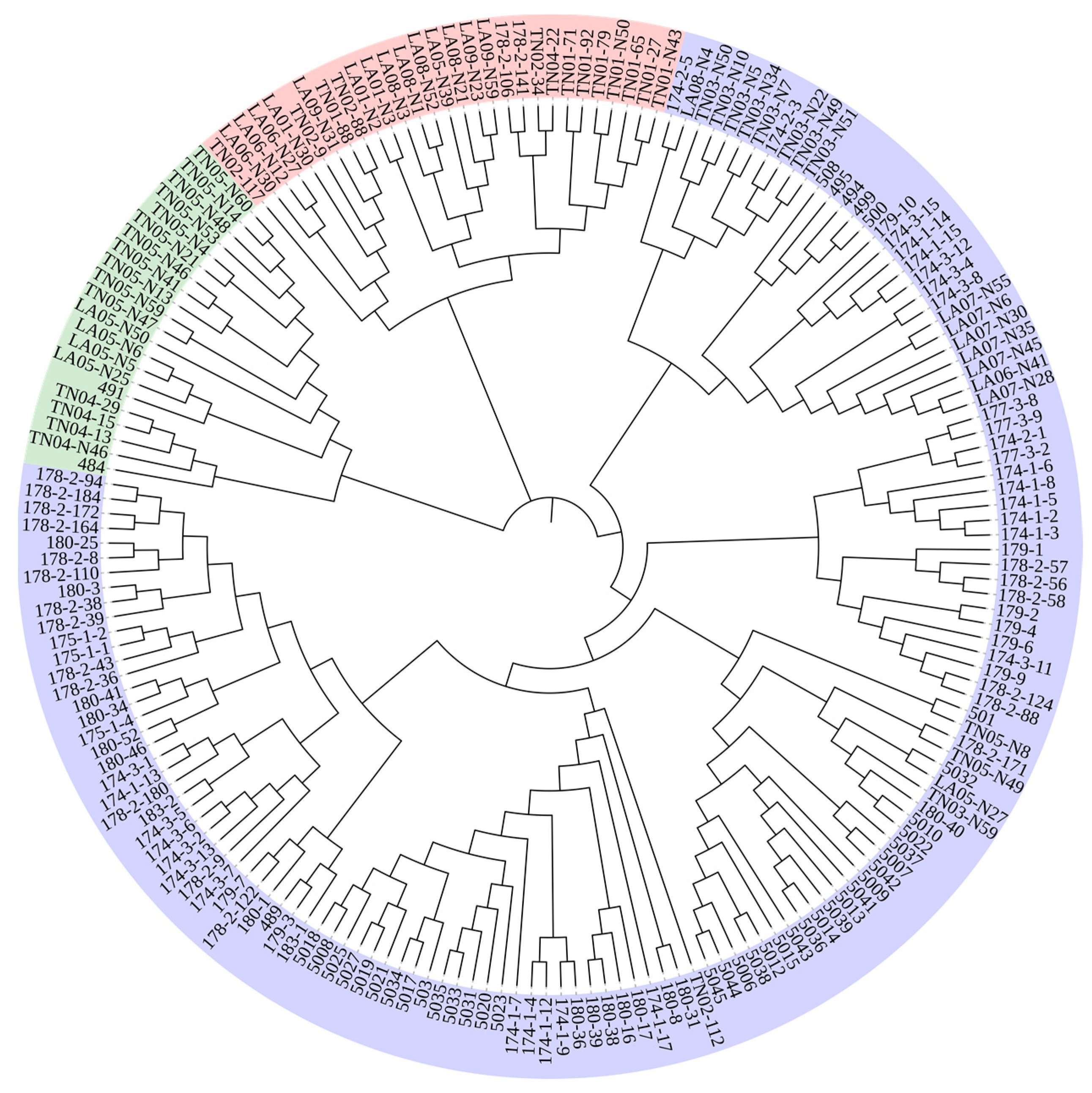 Ijms 25 11515 g005 Ijms 25 11515 g005