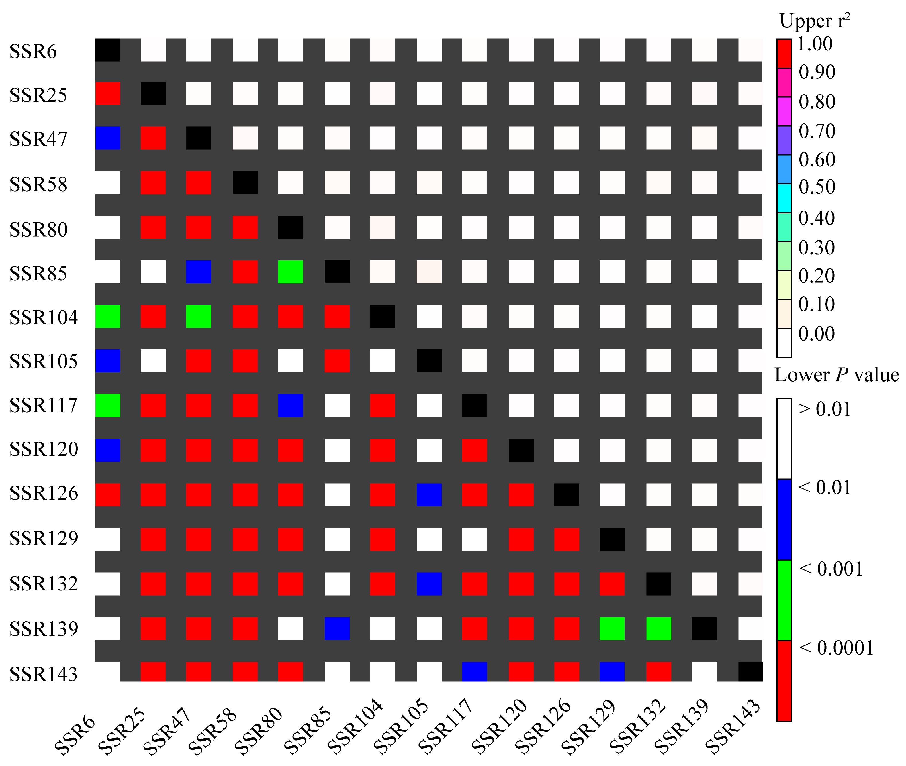 Ijms 25 11515 g007 Ijms 25 11515 g007