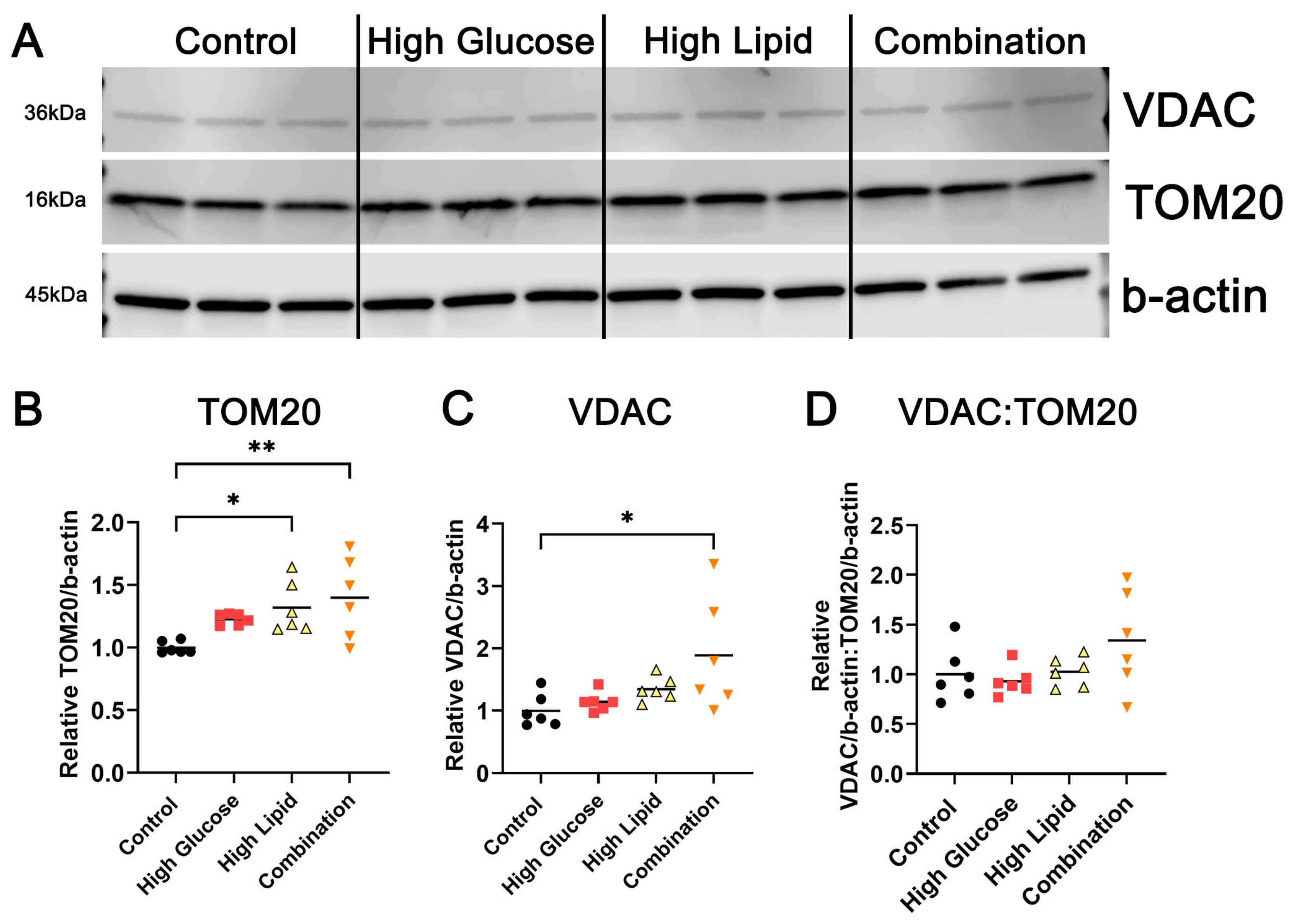 Ijms 25 11534 g002 Ijms 25 11534 g002