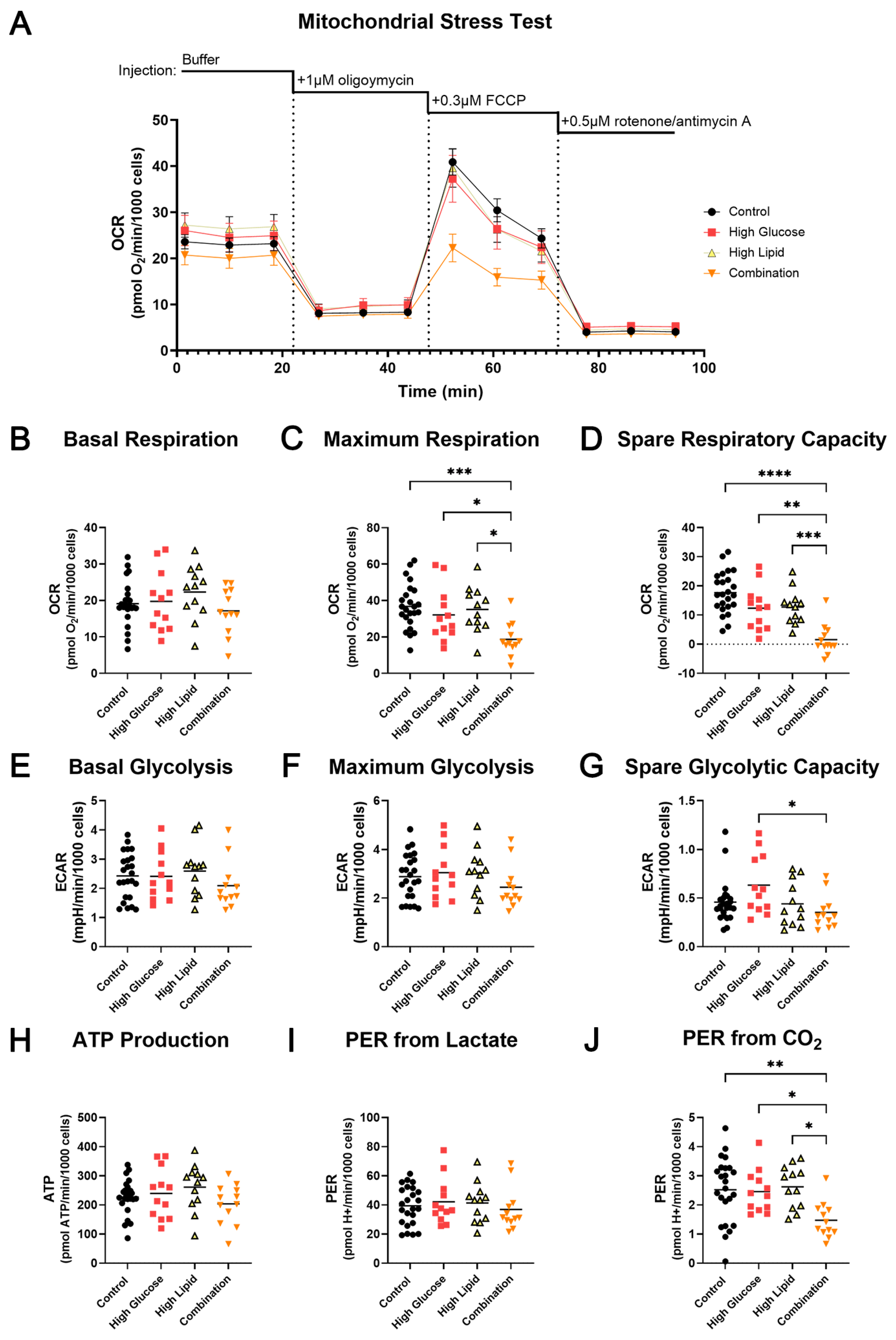 Ijms 25 11534 g003 Ijms 25 11534 g003