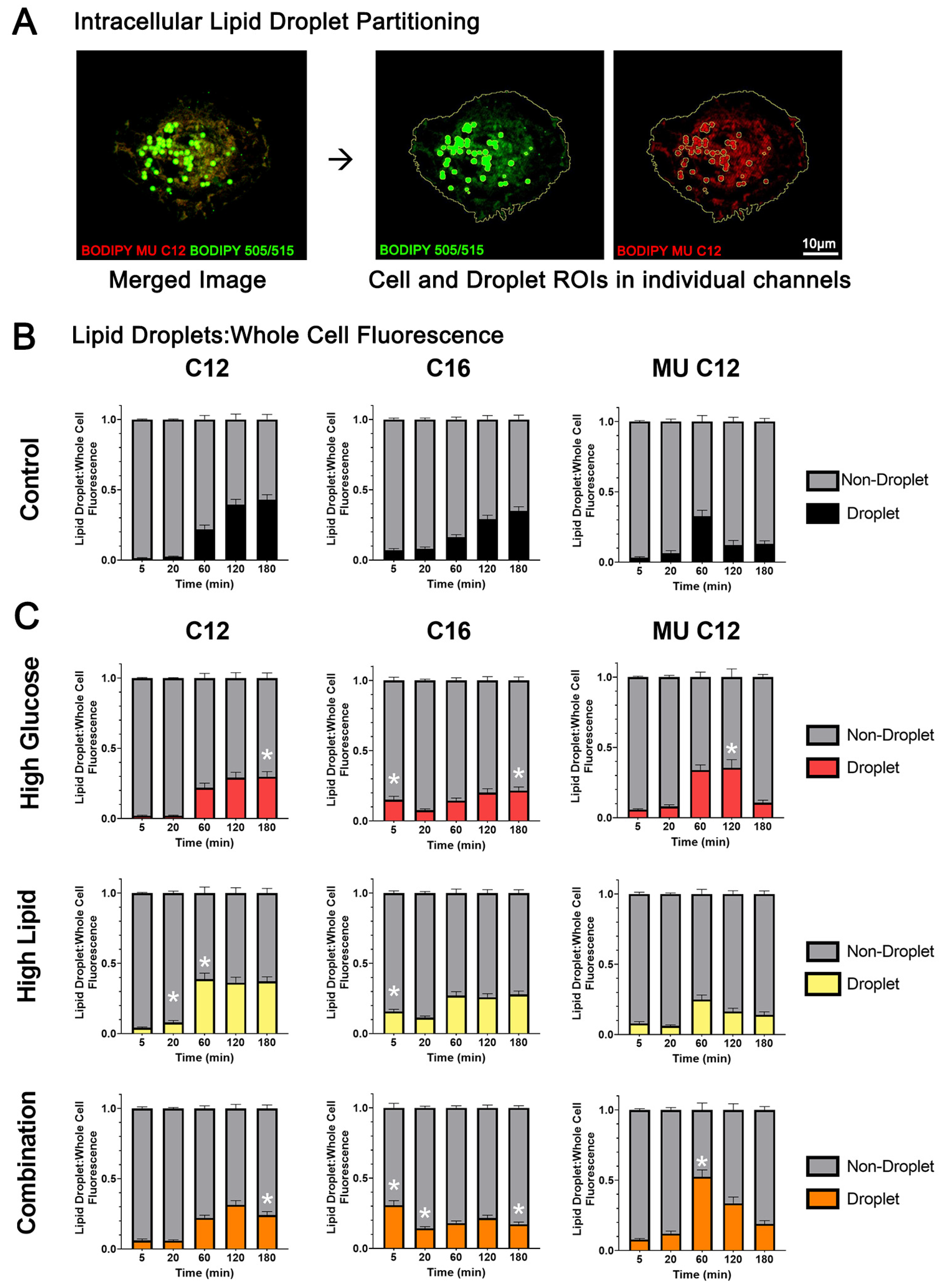 Ijms 25 11534 g006 Ijms 25 11534 g006