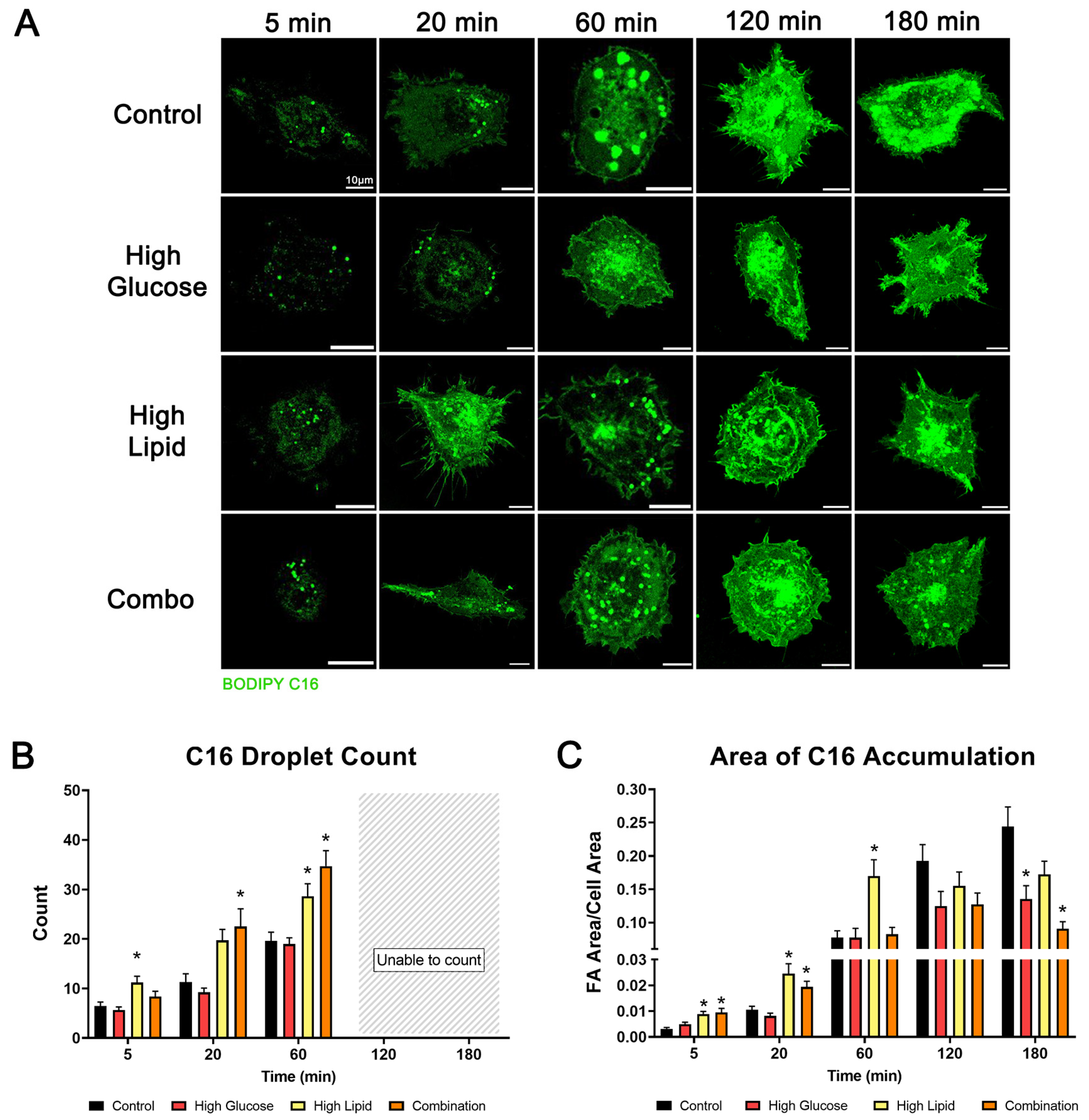Ijms 25 11534 g007 Ijms 25 11534 g007