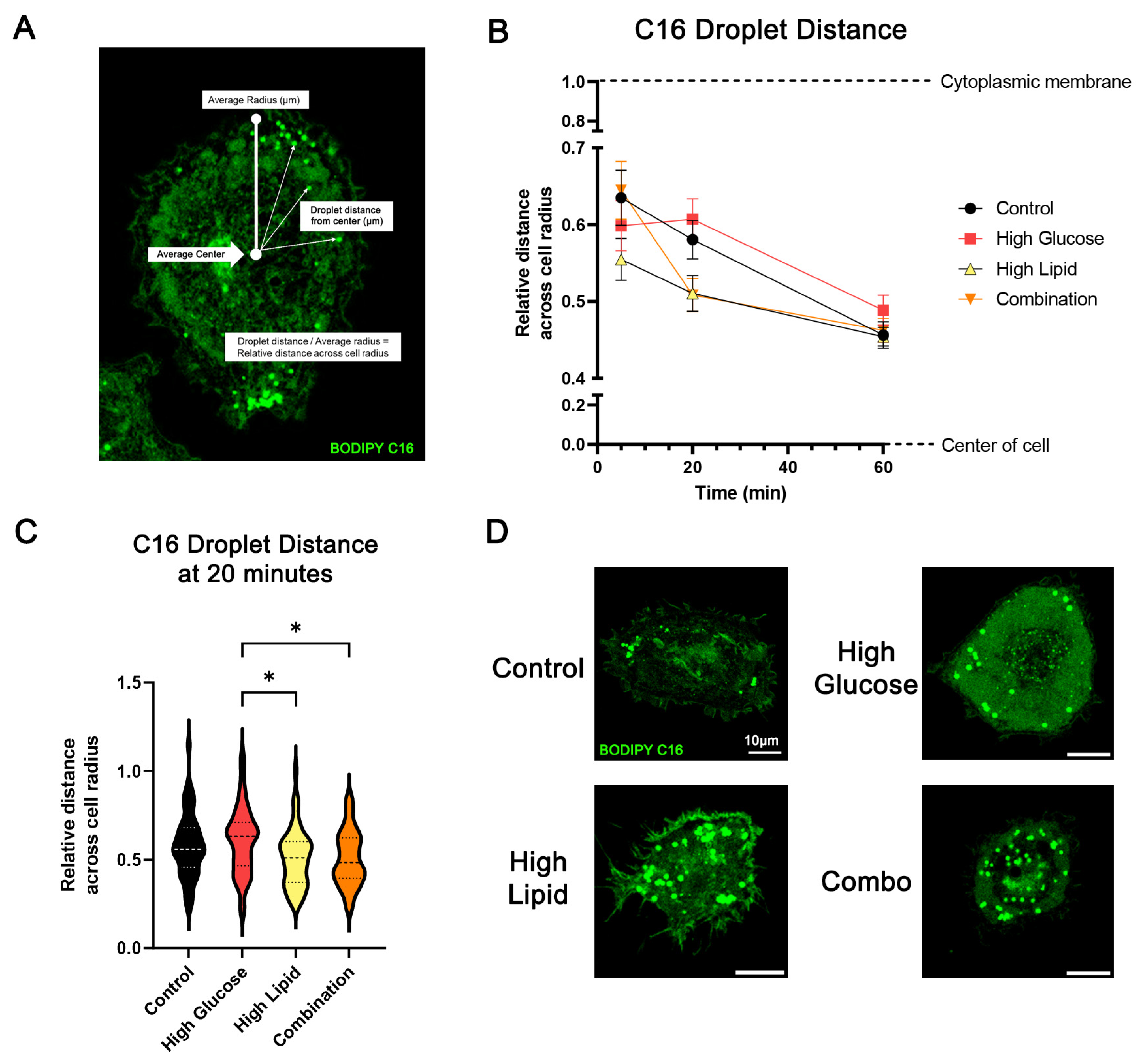 Ijms 25 11534 g008 Ijms 25 11534 g008
