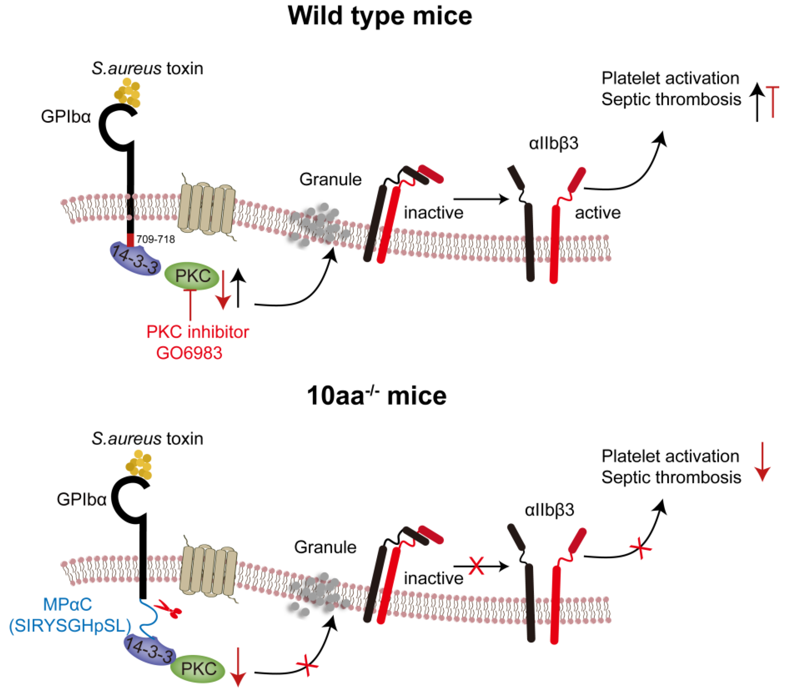 Ijms 25 11548 sch001