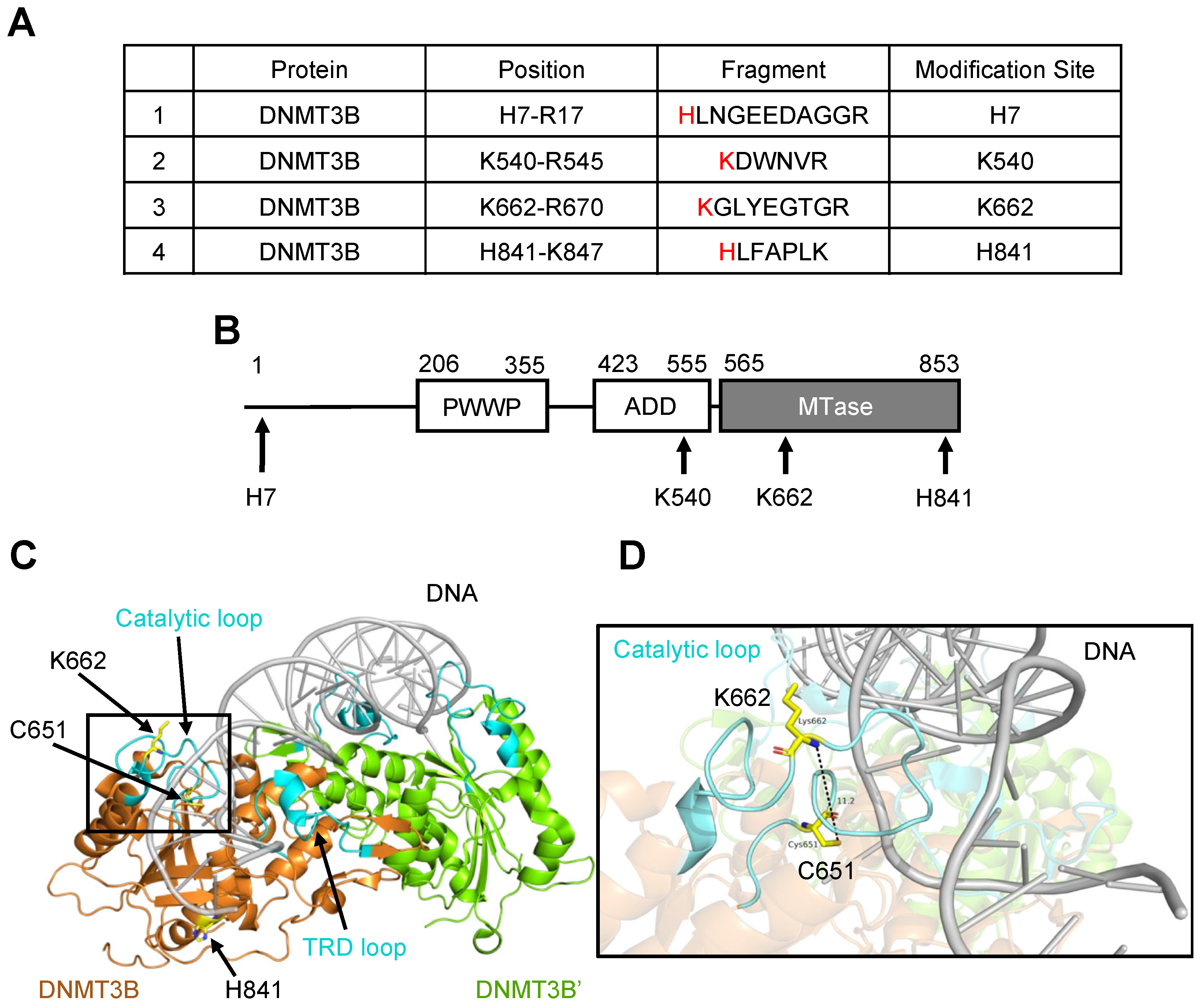 Ijms 25 11592 g002 Ijms 25 11592 g002
