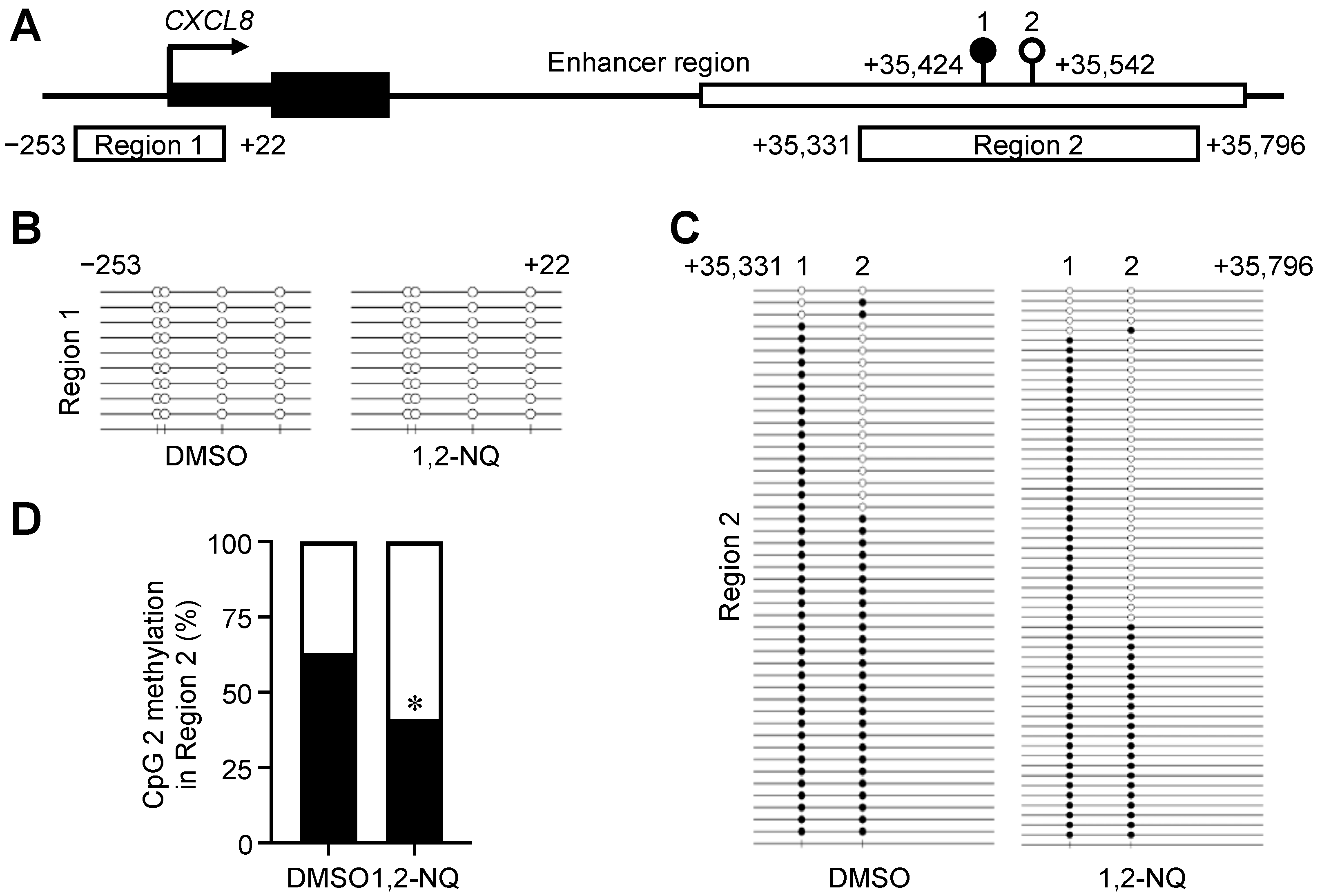 Ijms 25 11592 g005 Ijms 25 11592 g005