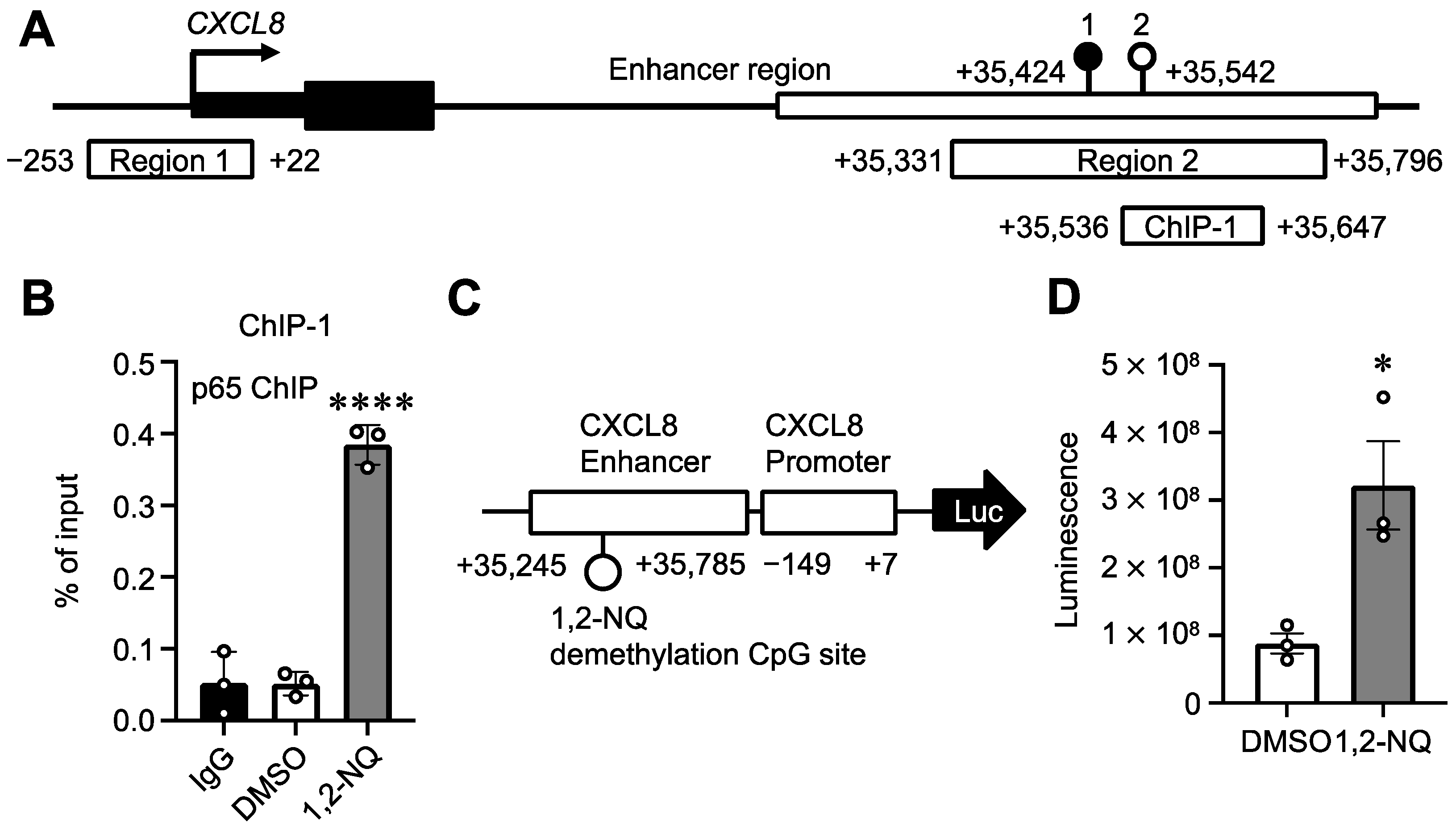 Ijms 25 11592 g006 Ijms 25 11592 g006