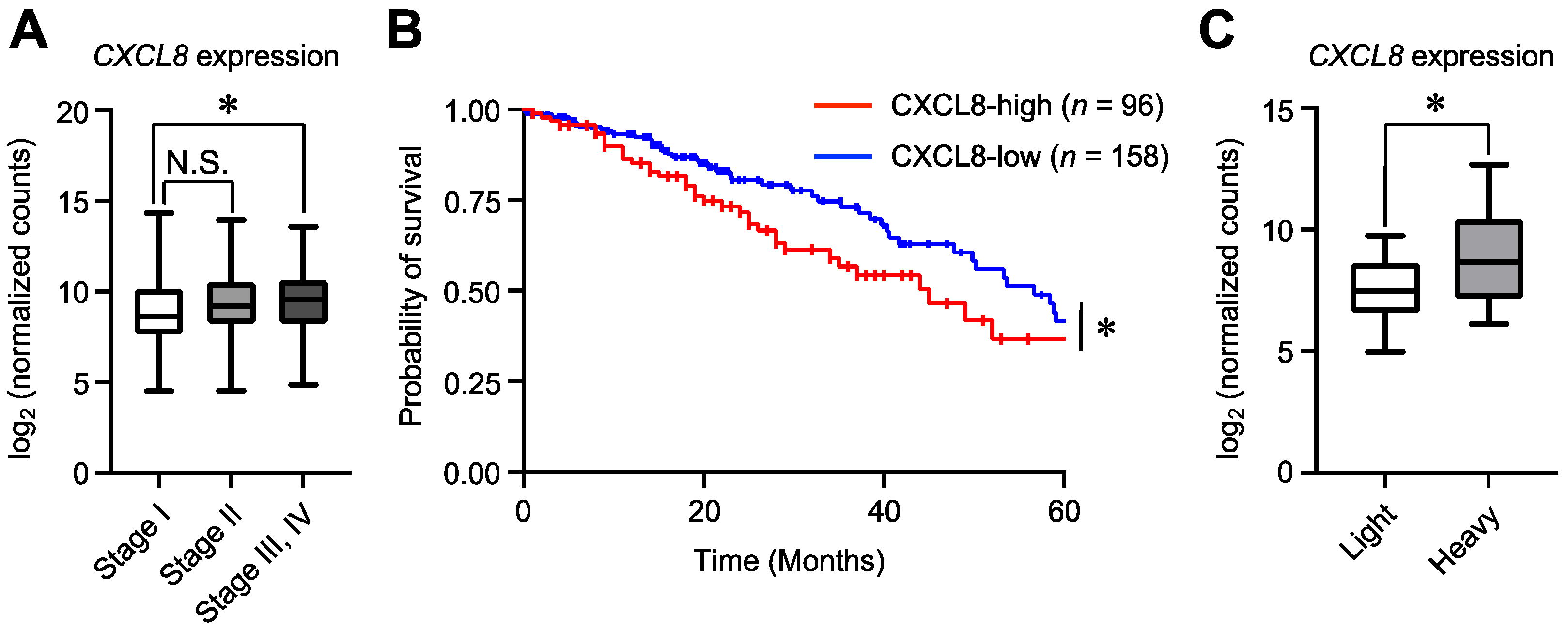 Ijms 25 11592 g008 Ijms 25 11592 g008