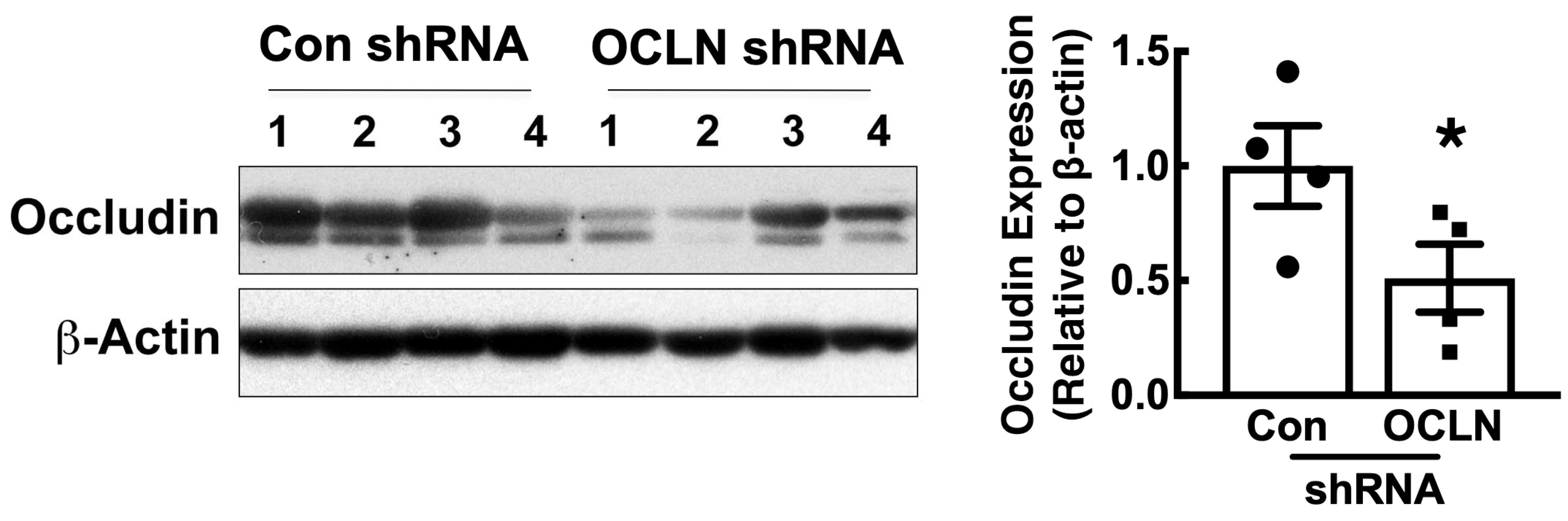 Ijms 25 11595 g002 Ijms 25 11595 g002