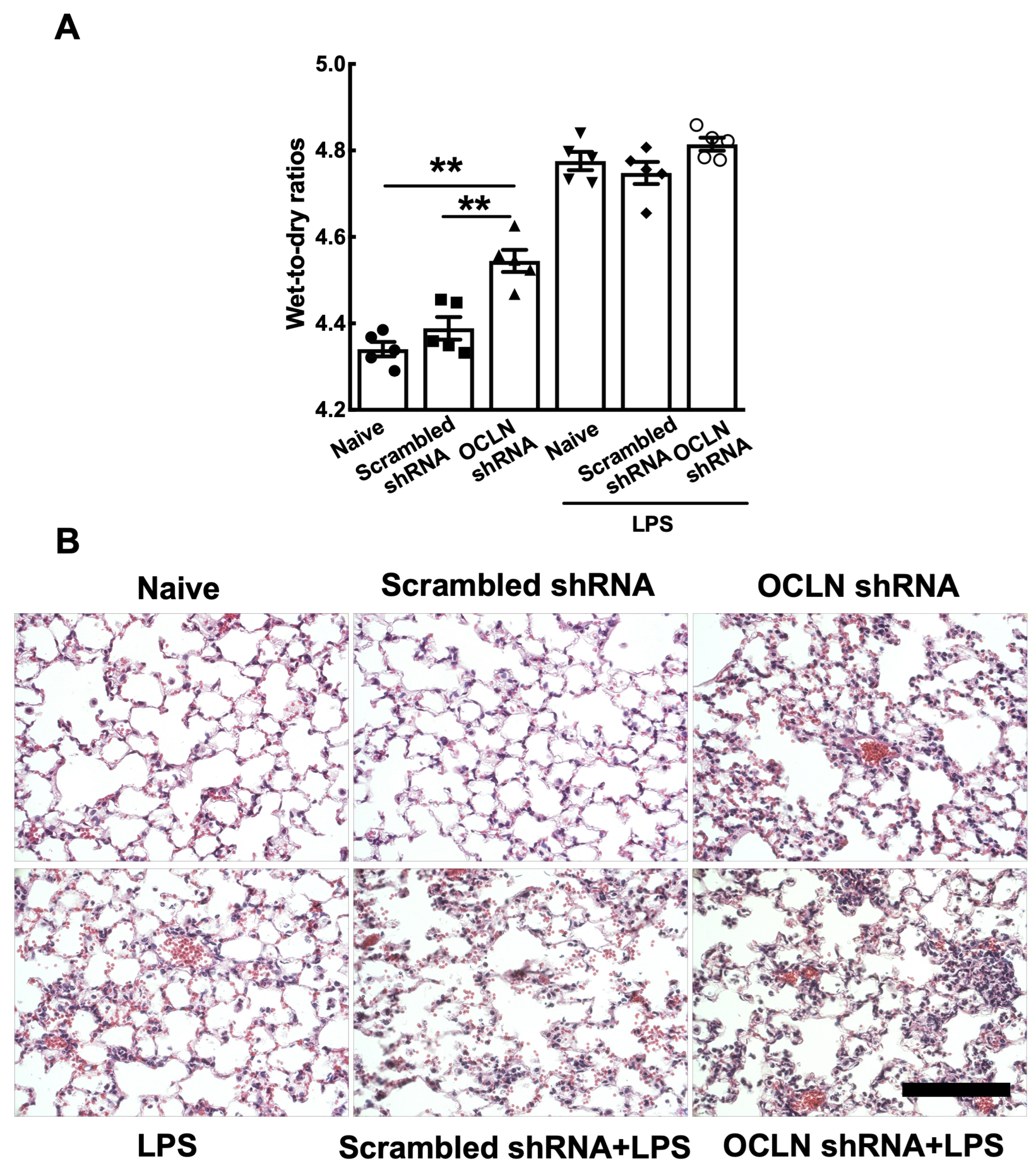 Ijms 25 11595 g003 Ijms 25 11595 g003