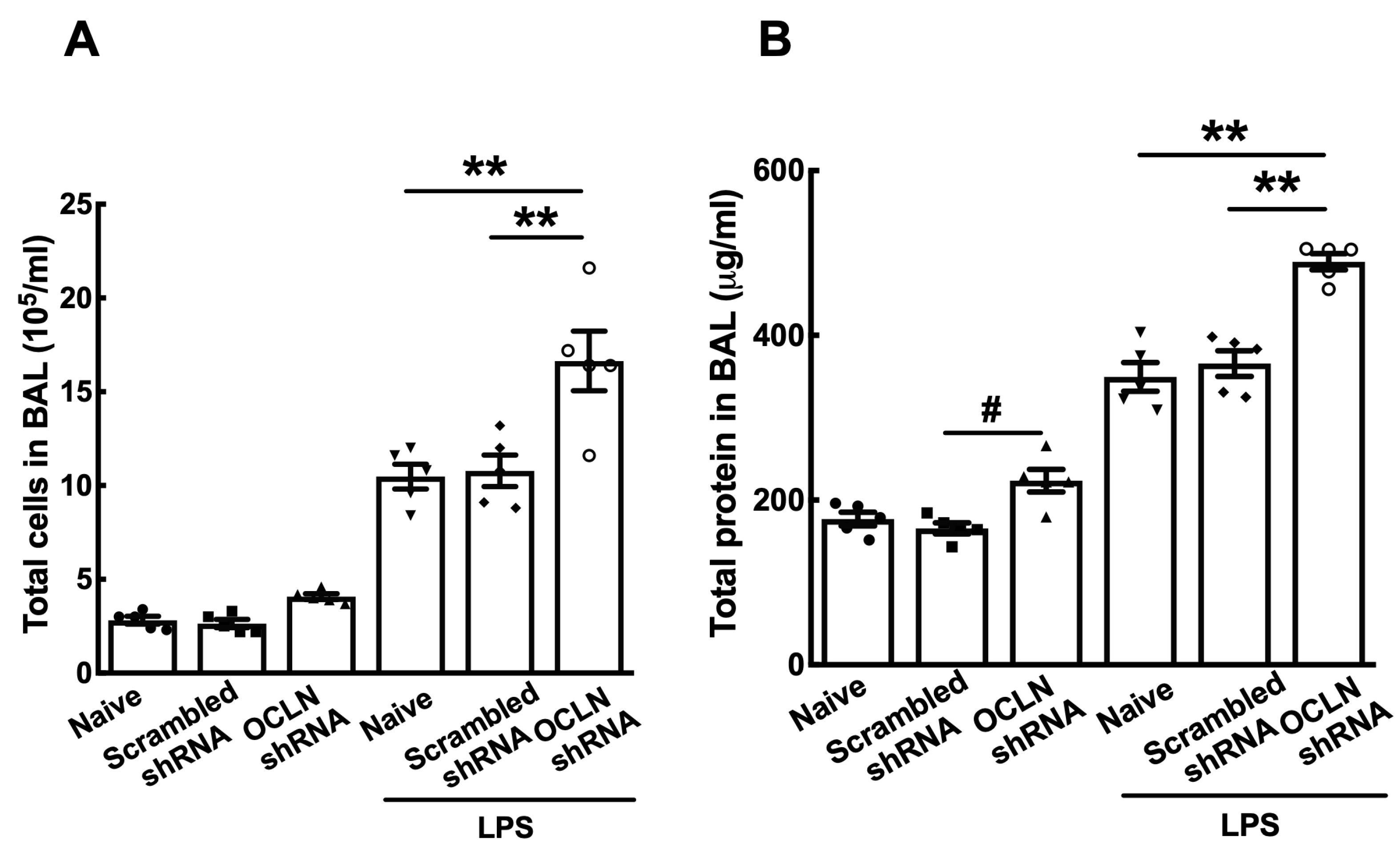 Ijms 25 11595 g004 Ijms 25 11595 g004