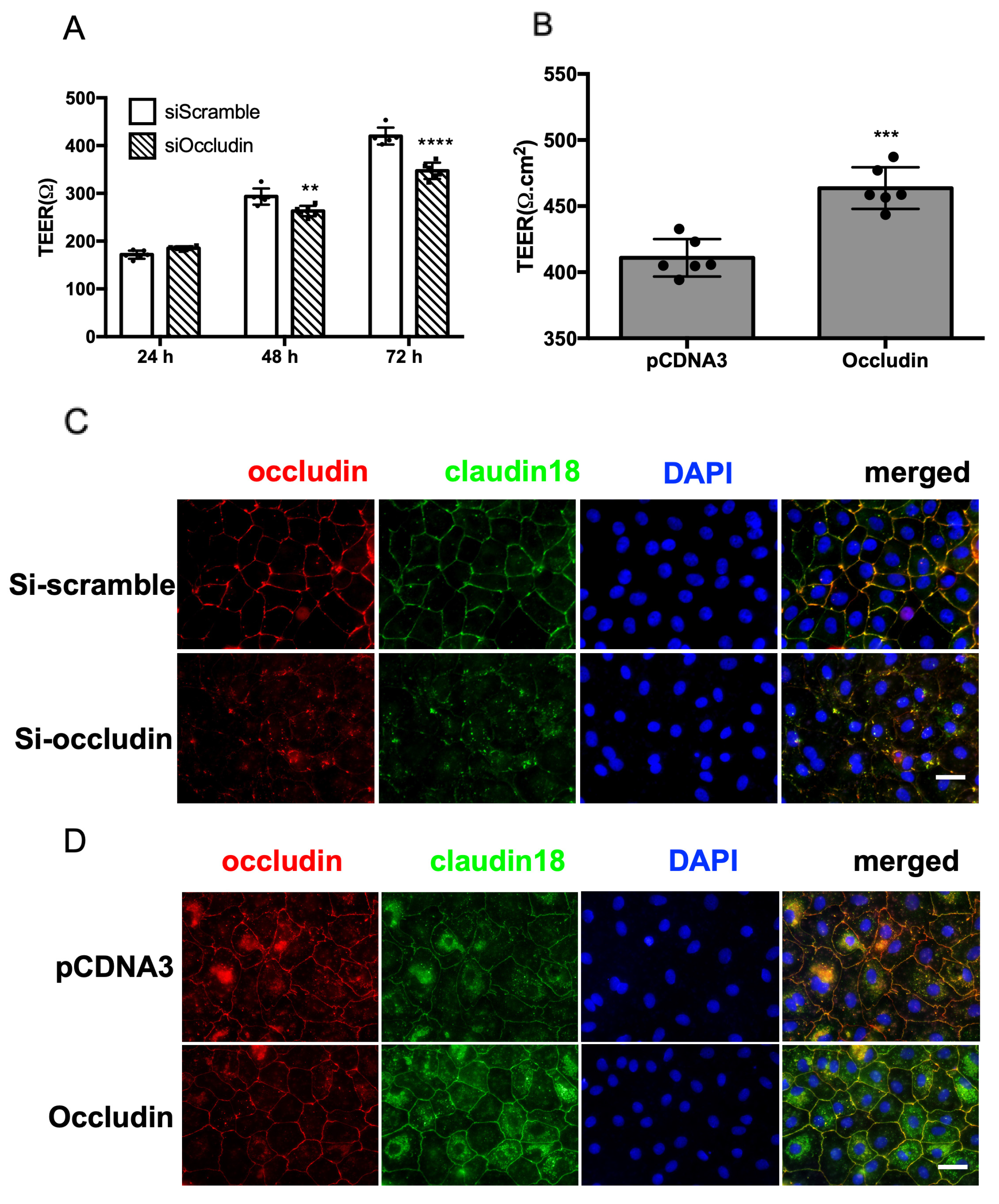 Ijms 25 11595 g005 Ijms 25 11595 g005