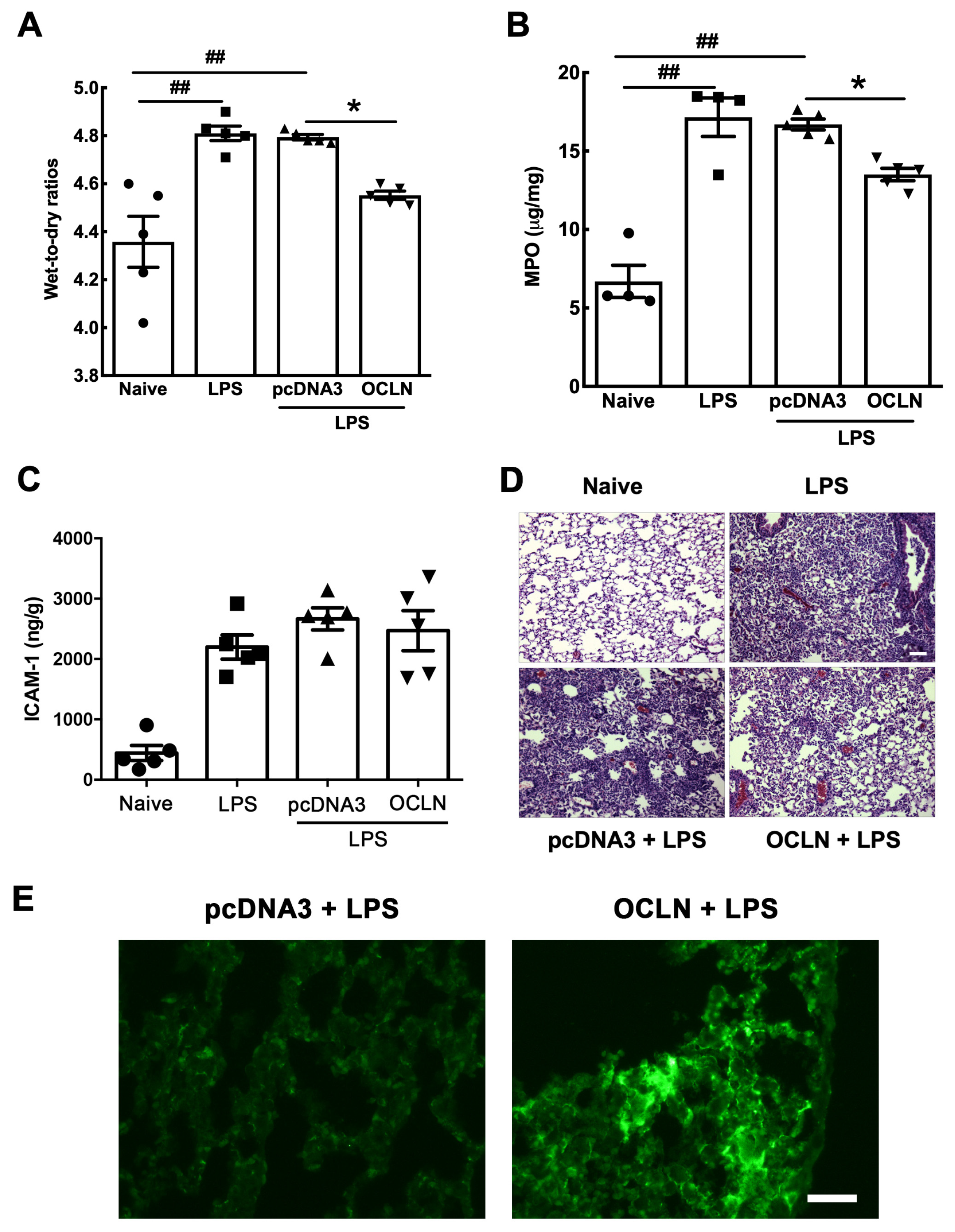 Ijms 25 11595 g007 Ijms 25 11595 g007