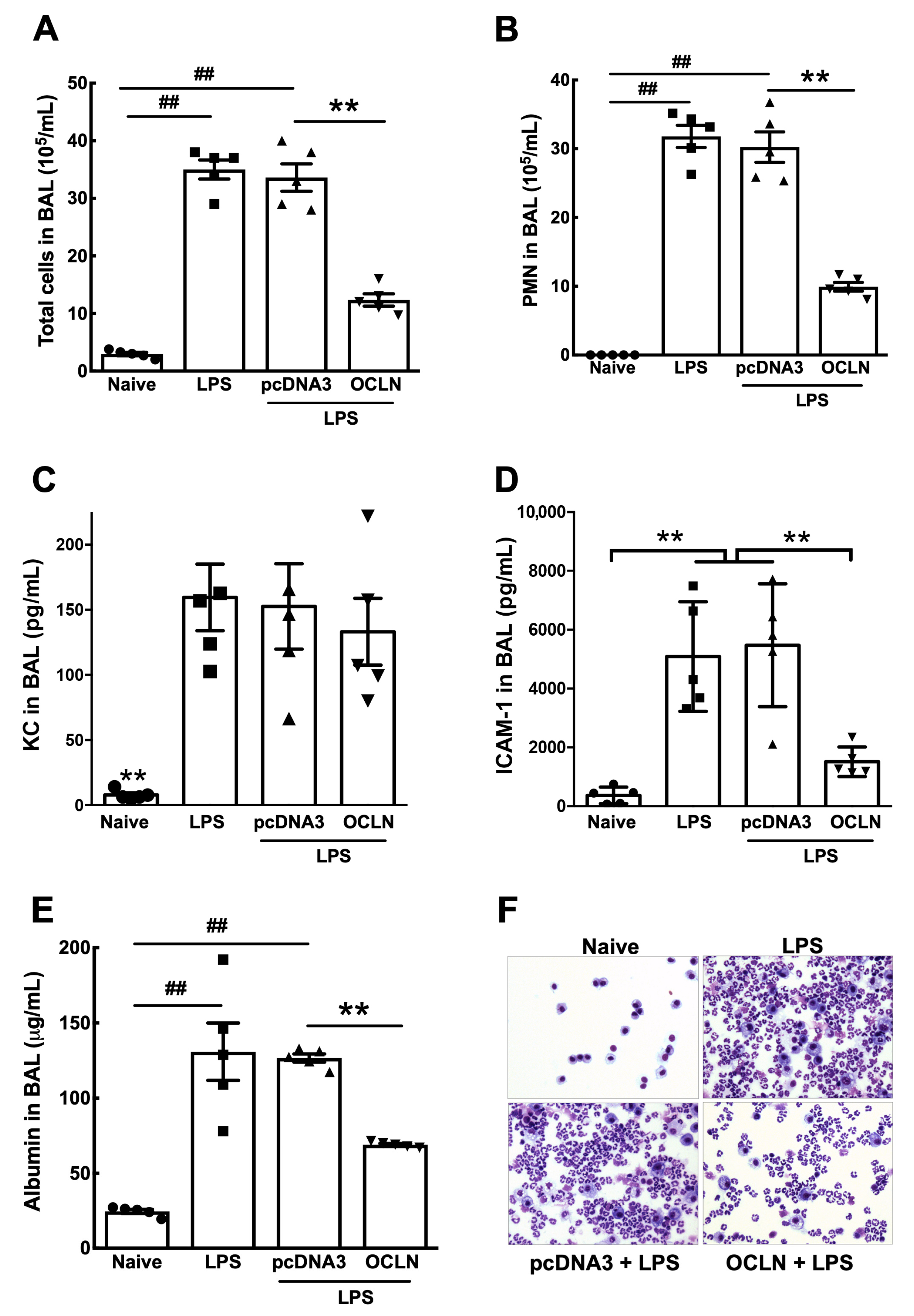 Ijms 25 11595 g008 Ijms 25 11595 g008
