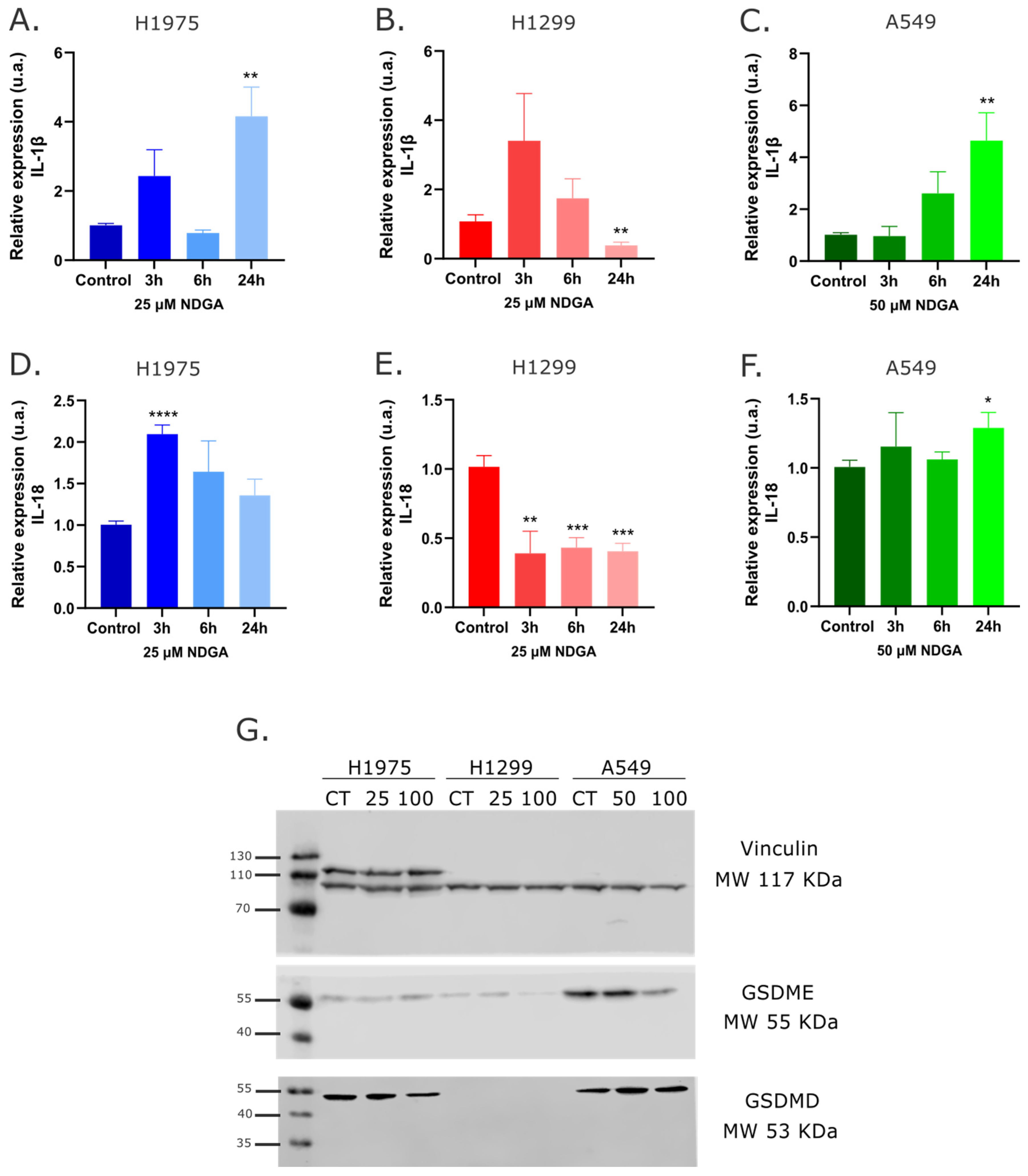 Ijms 25 11601 g003 Ijms 25 11601 g003