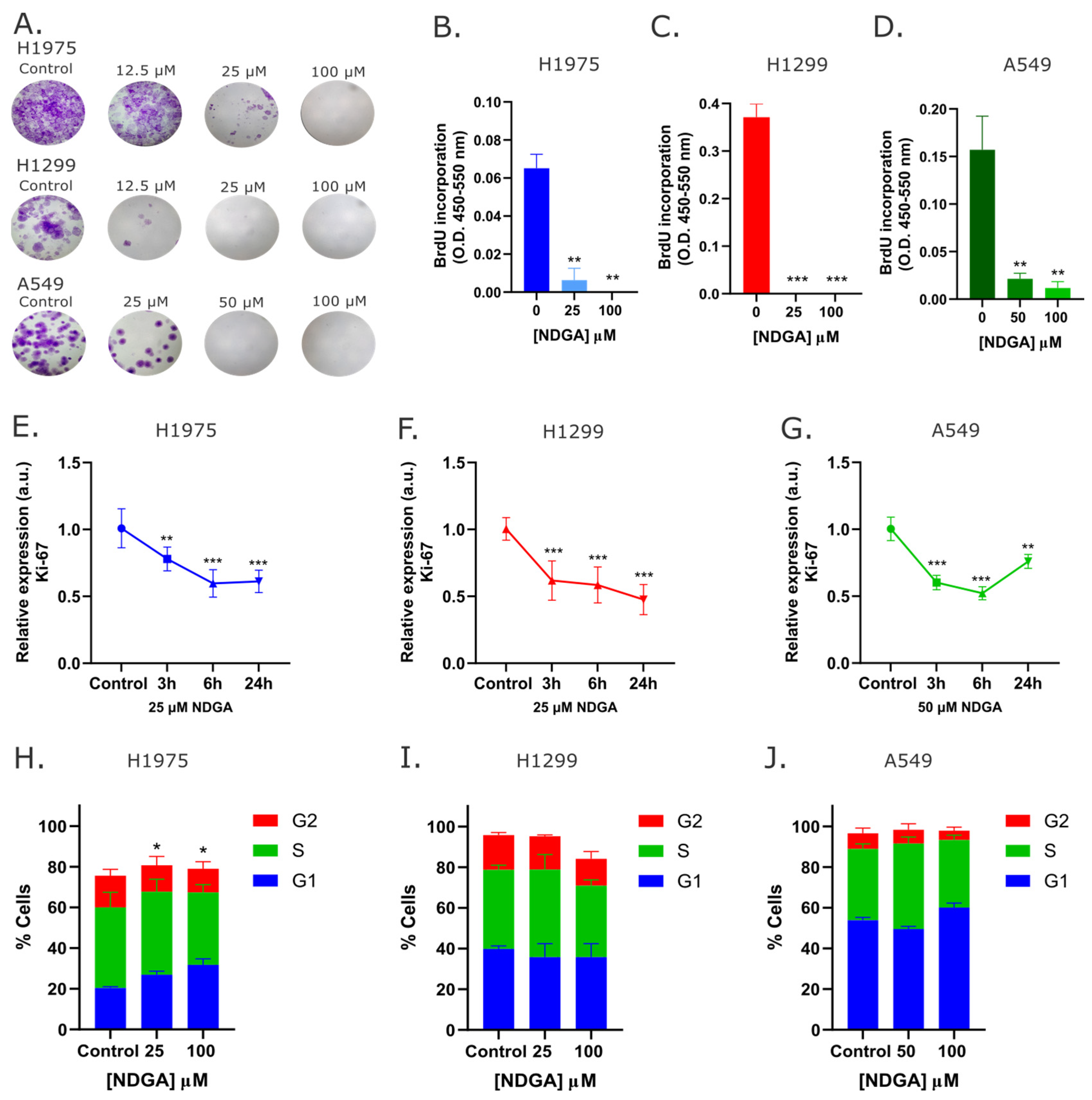 Ijms 25 11601 g004 Ijms 25 11601 g004