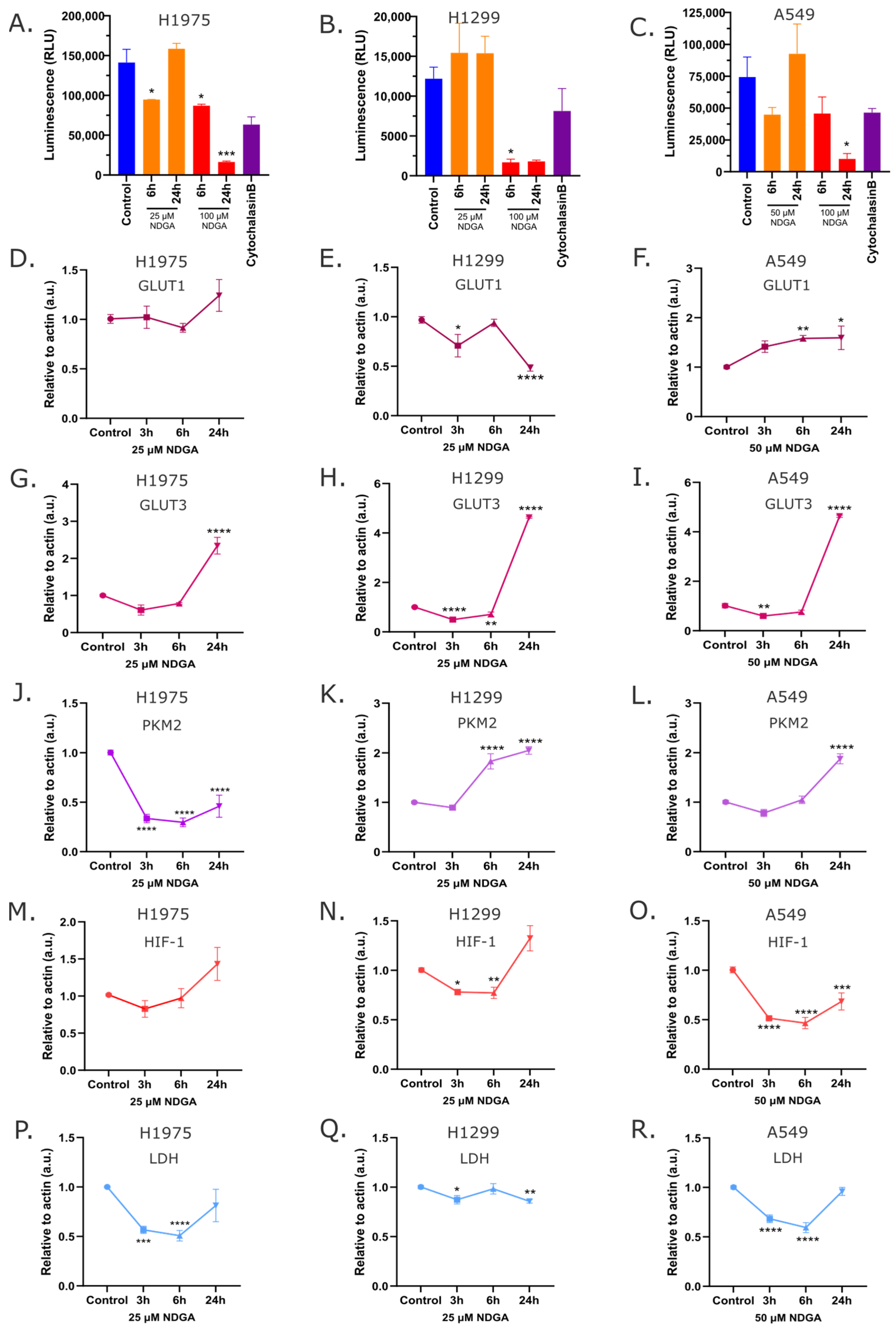 Ijms 25 11601 g005 Ijms 25 11601 g005