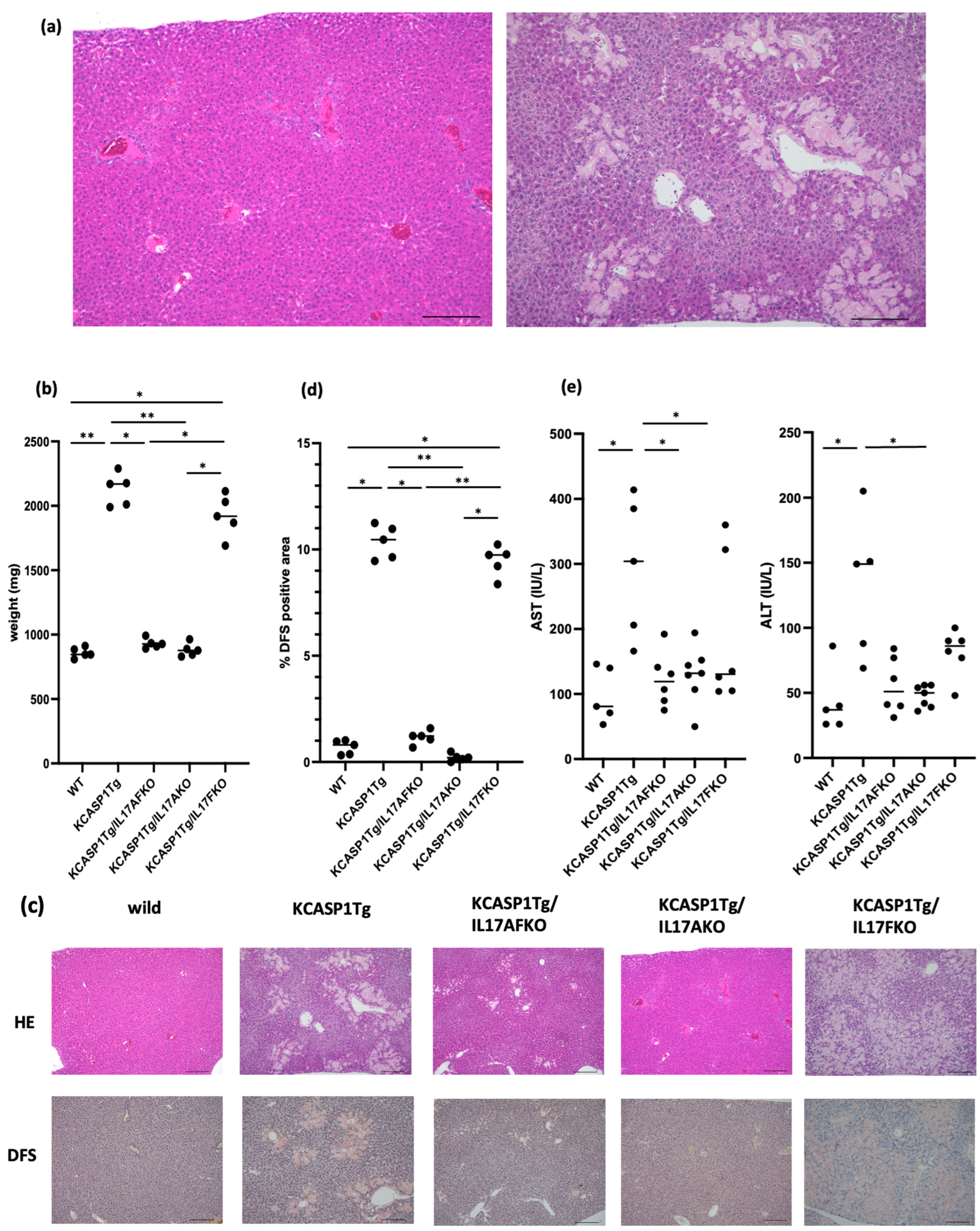 Ijms 25 11617 g001 Ijms 25 11617 g001