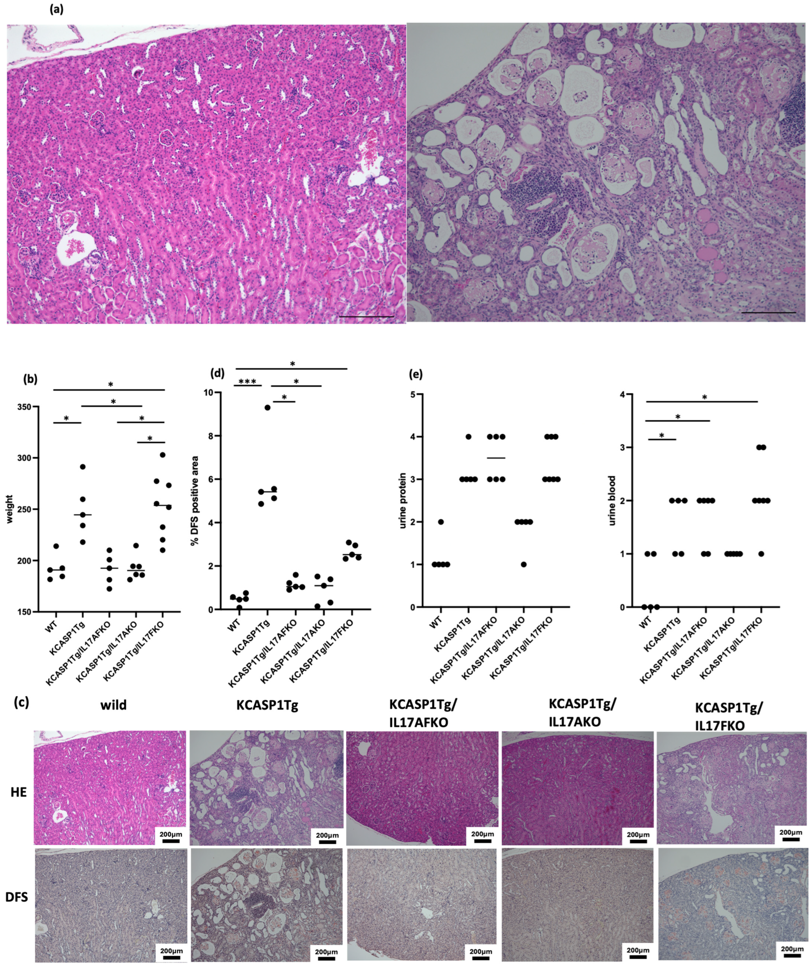 Ijms 25 11617 g003 Ijms 25 11617 g003