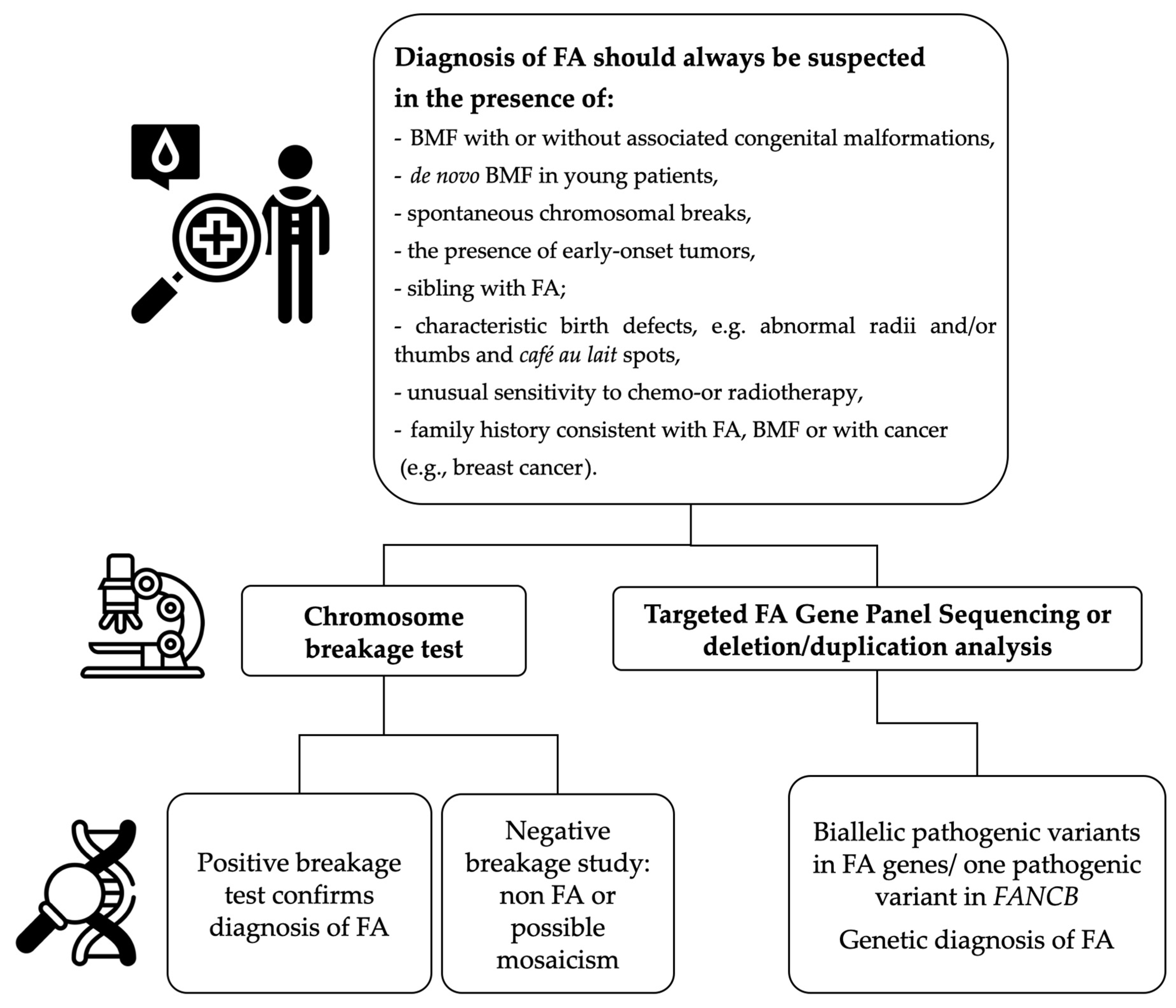 Ijms 25 11619 g002 Ijms 25 11619 g002