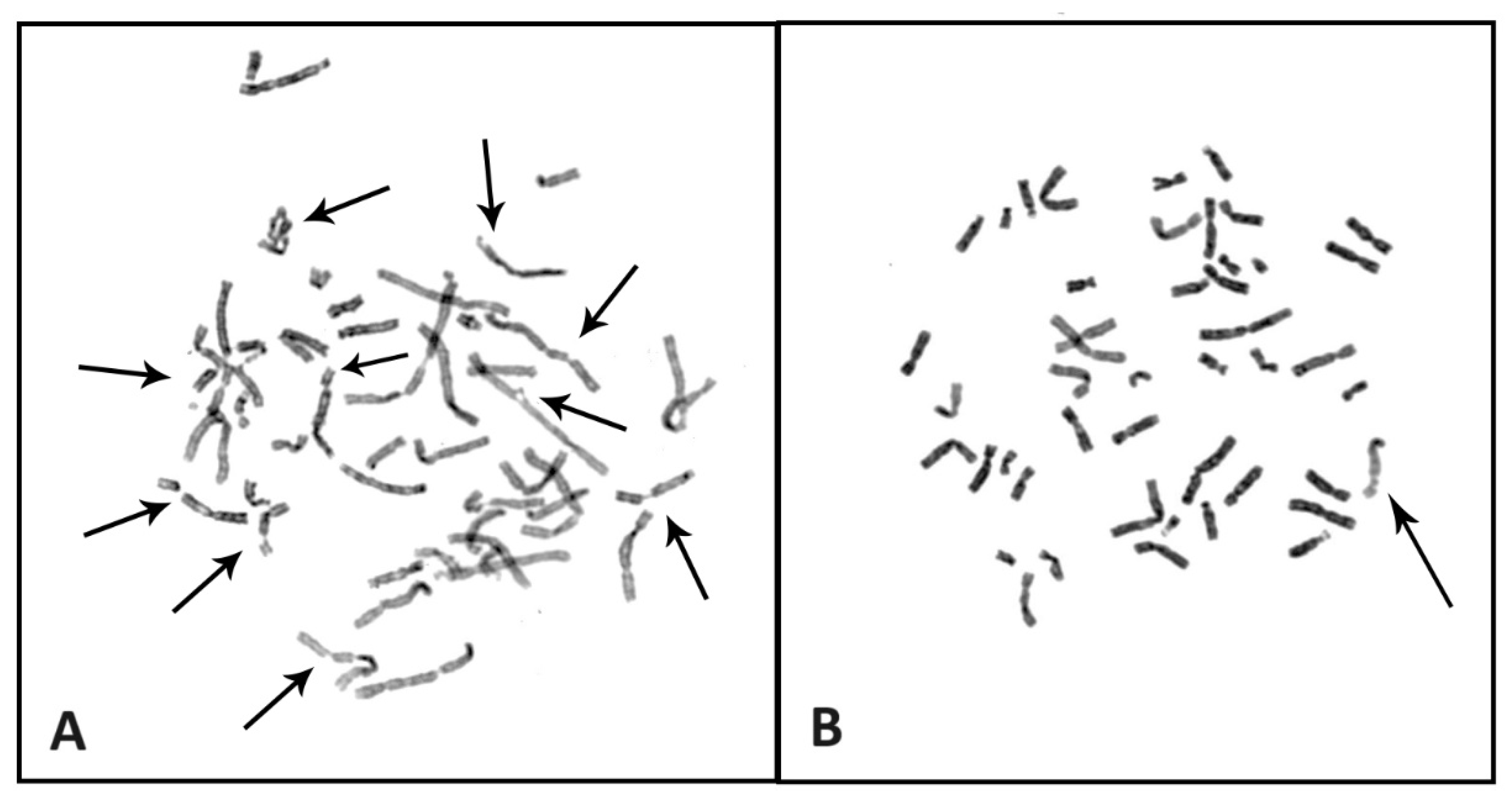 Ijms 25 11619 g003 Ijms 25 11619 g003