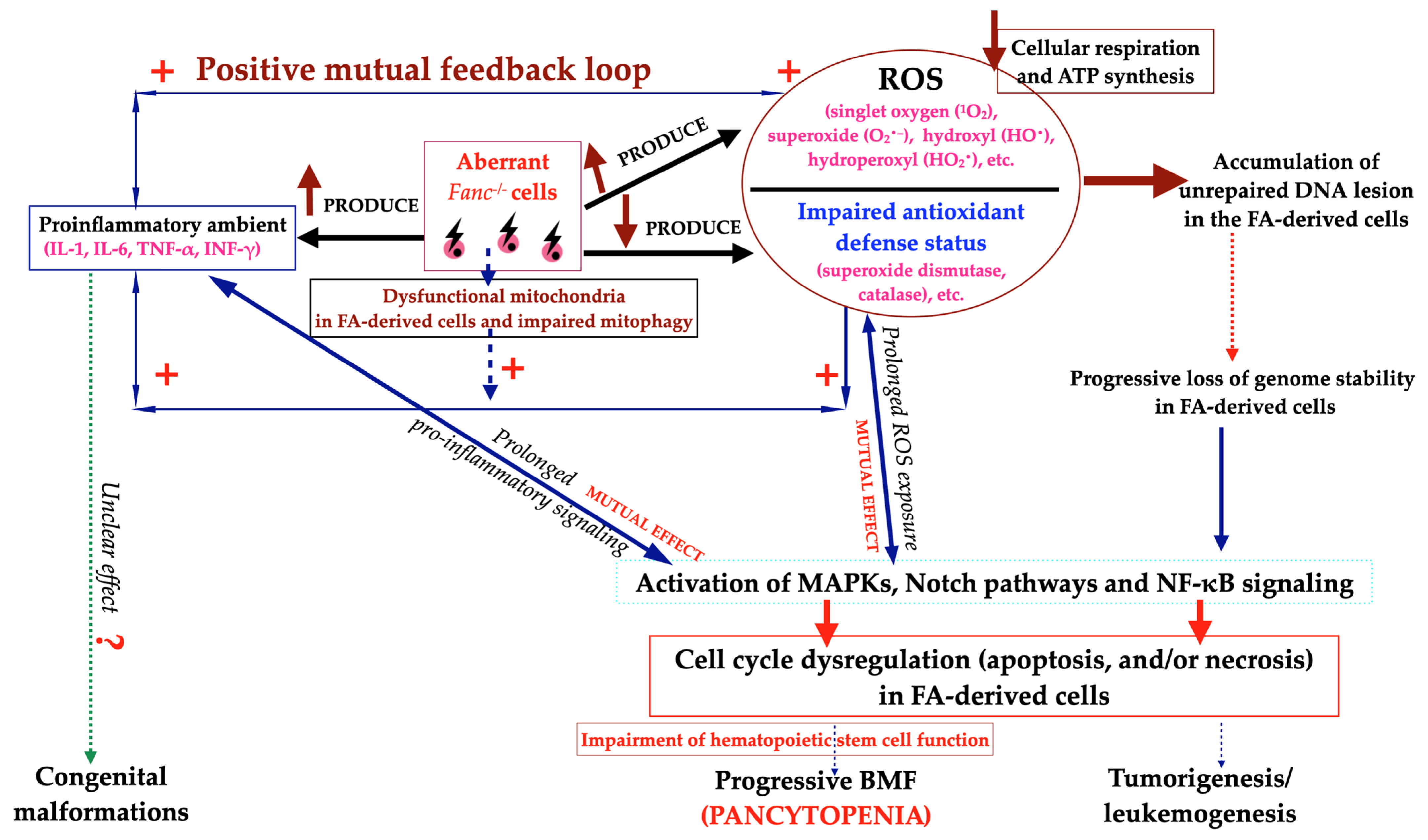 Ijms 25 11619 g004 Ijms 25 11619 g004