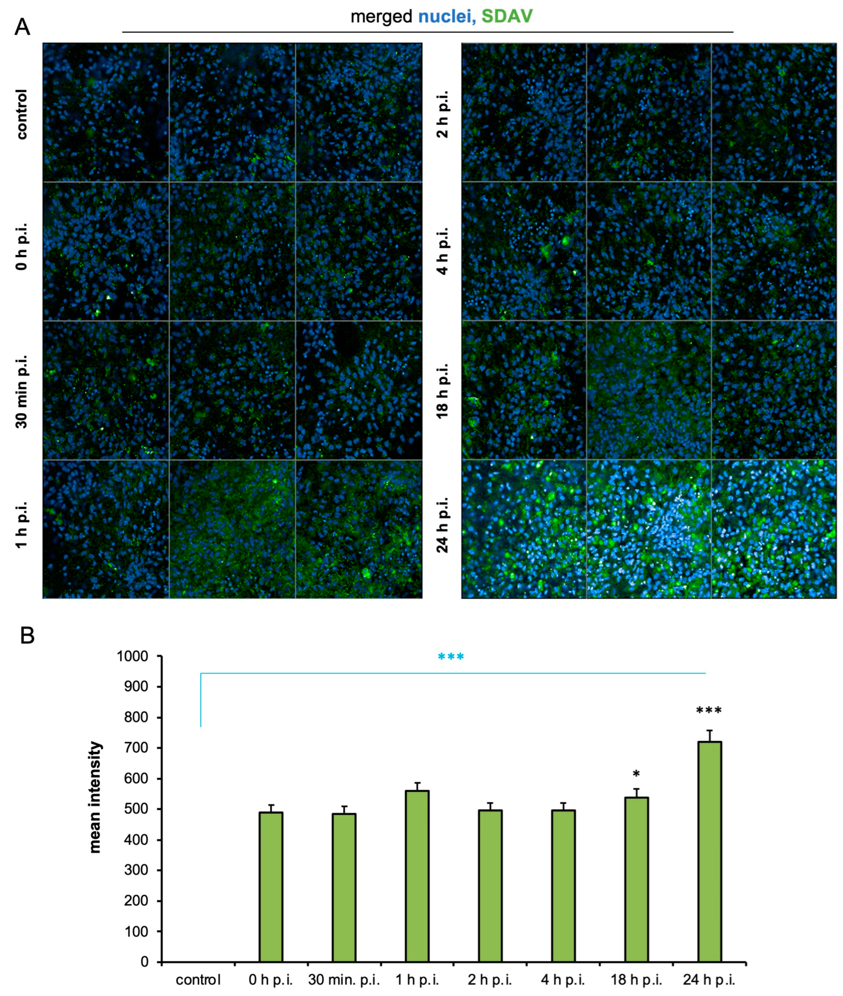 Ijms 25 11633 g003 Ijms 25 11633 g003