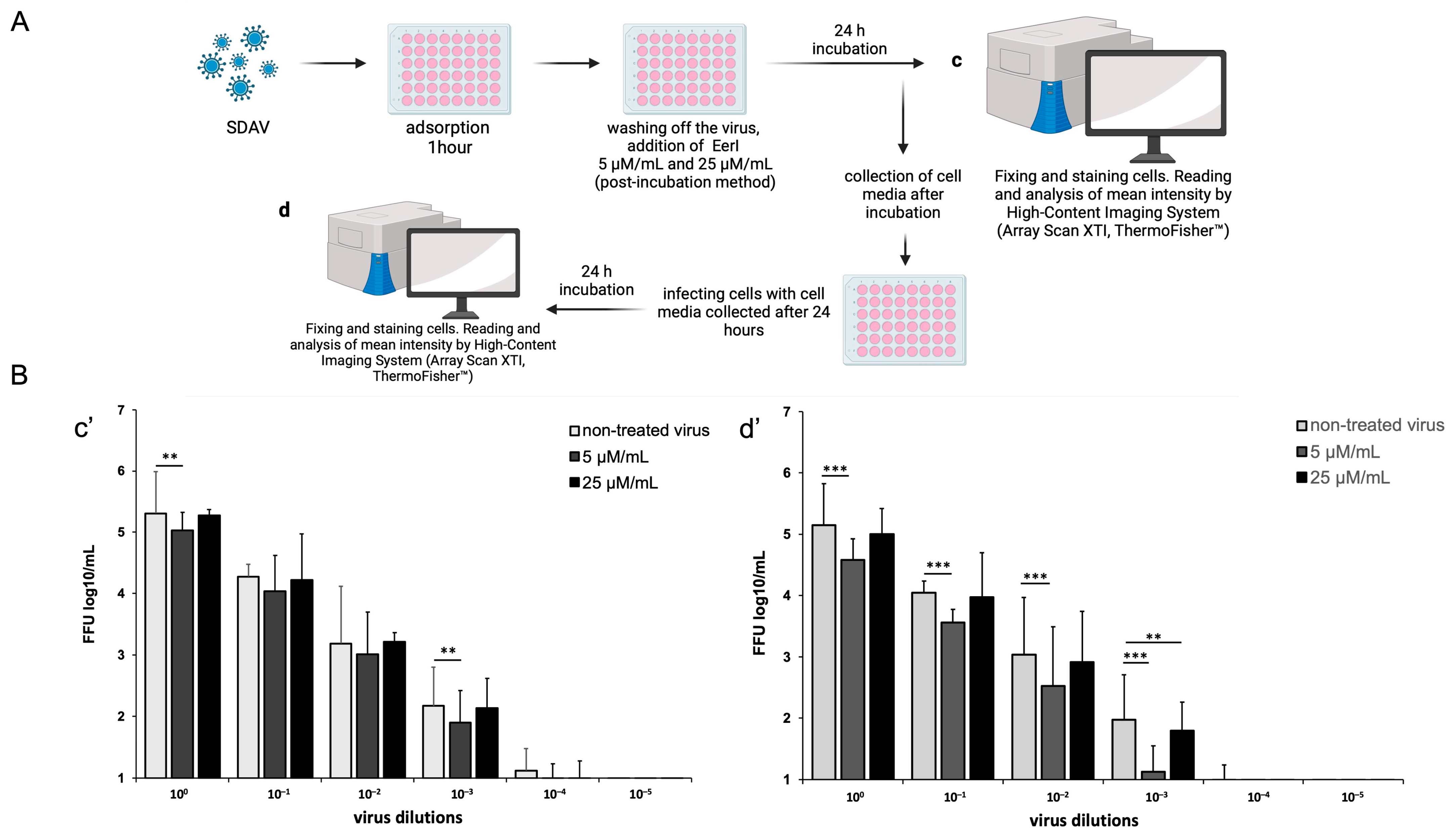 Ijms 25 11633 g009 Ijms 25 11633 g009