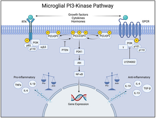 The Importance of Phosphoinositide 3-Kinase in Neuroinflammation
