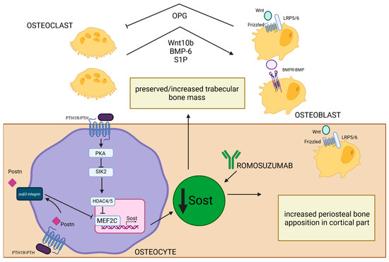臨床病態栄養学 = Pathophysiological Bases of C… 臨床病態栄養学 = Pathophysiological Bases of C… 健康・医学
