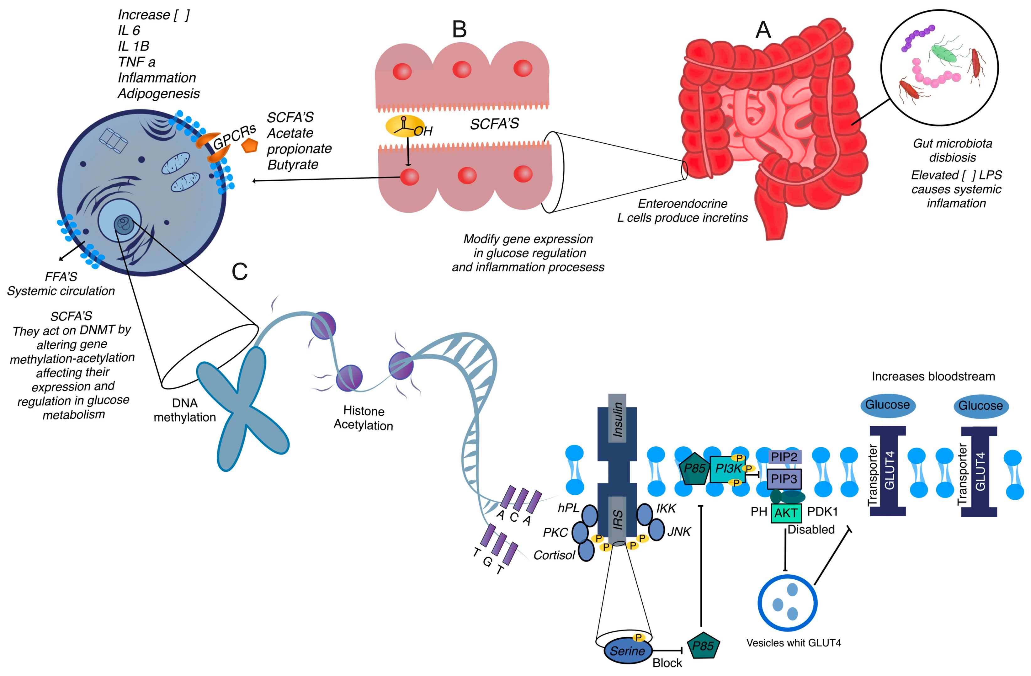 Ijms 25 11641 g003 Ijms 25 11641 g003
