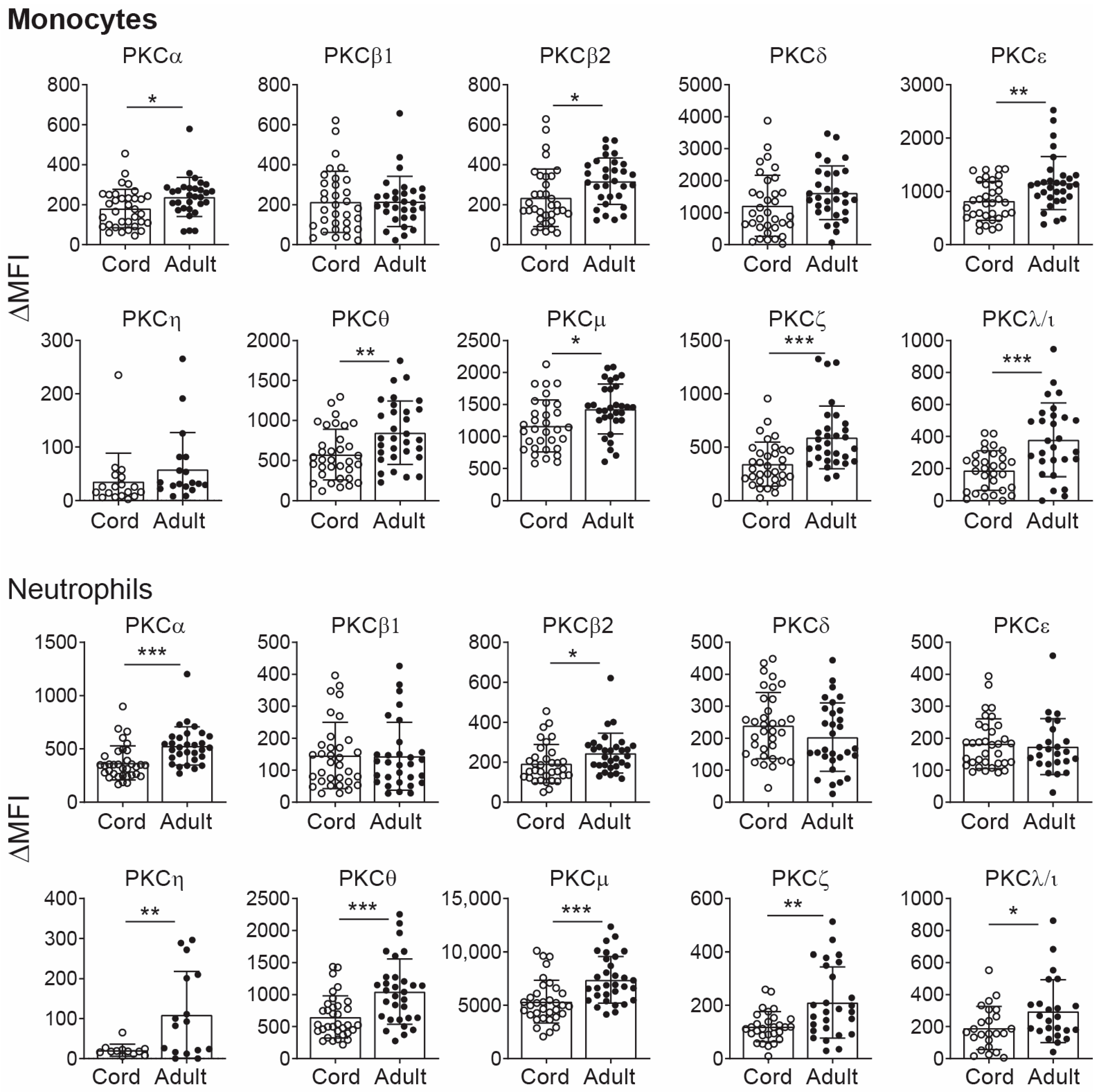 Ijms 25 11665 g001 Ijms 25 11665 g001