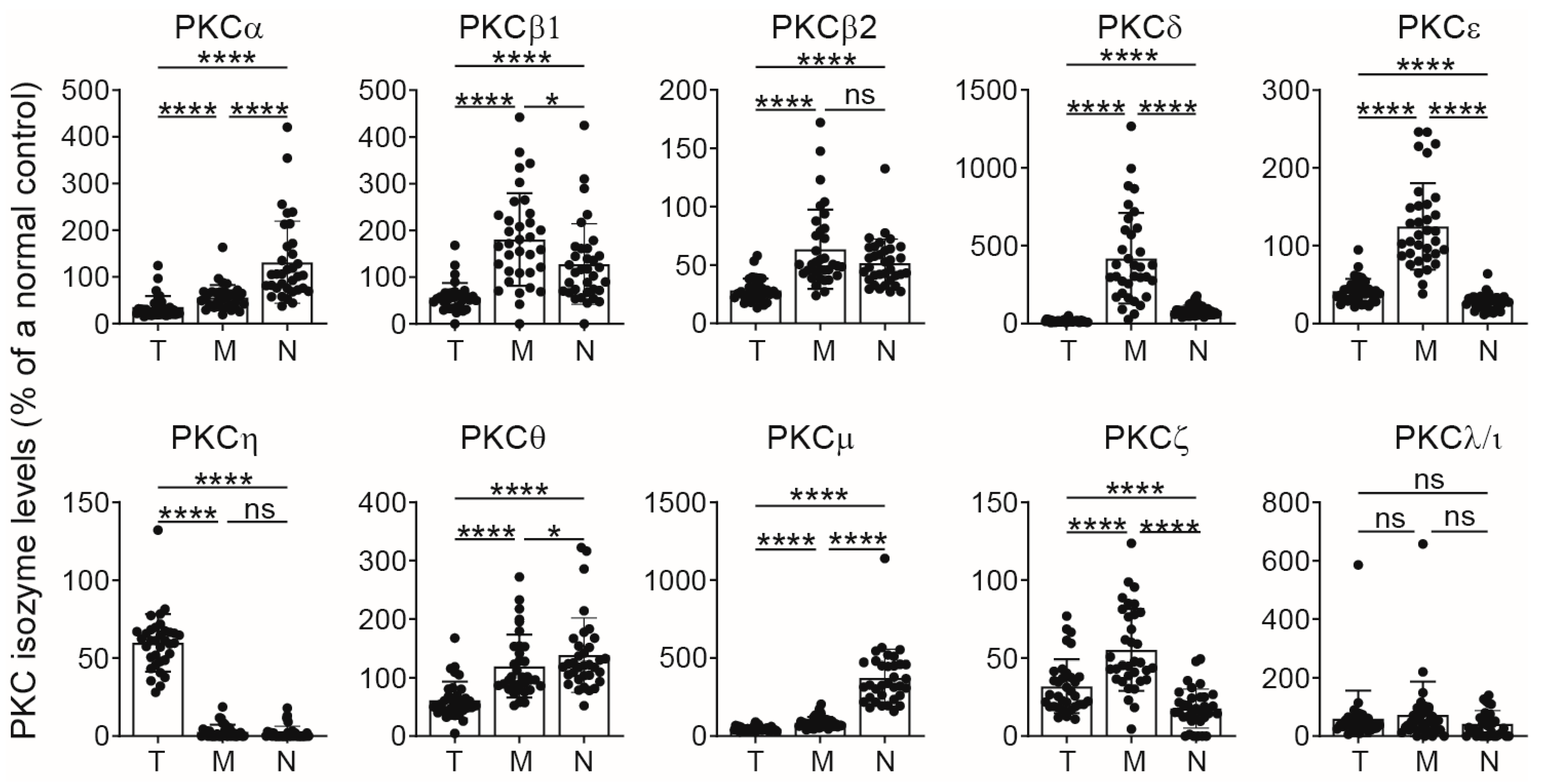 Ijms 25 11665 g002 Ijms 25 11665 g002