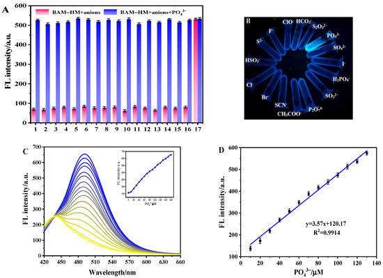 Two Novel Fluorescence Probes Based on Caffeic Acid Derivative for