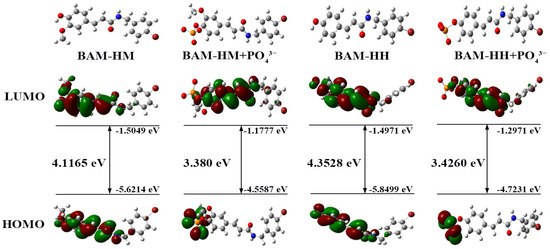 Two Novel Fluorescence Probes Based on Caffeic Acid Two Novel Fluorescence Probes Based on Caffeic Acid