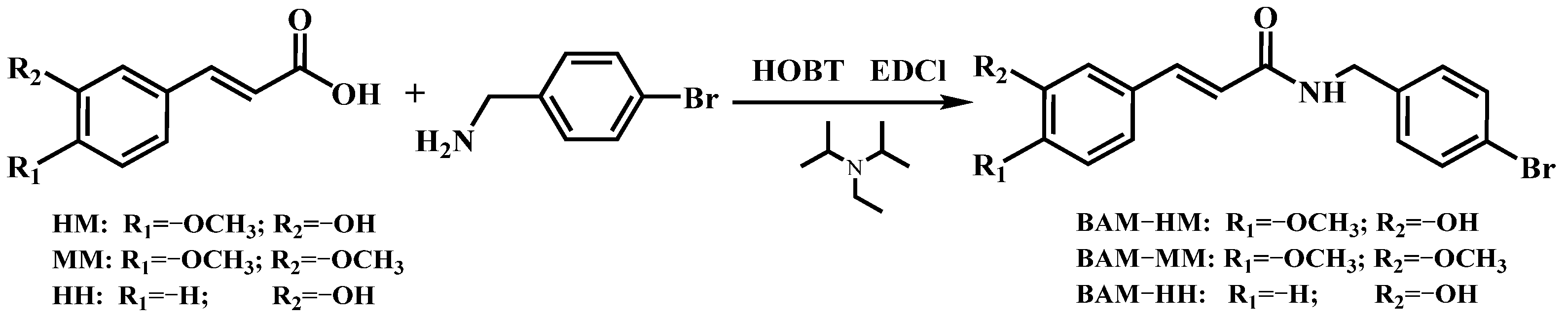 Ijms 25 11680 sch001