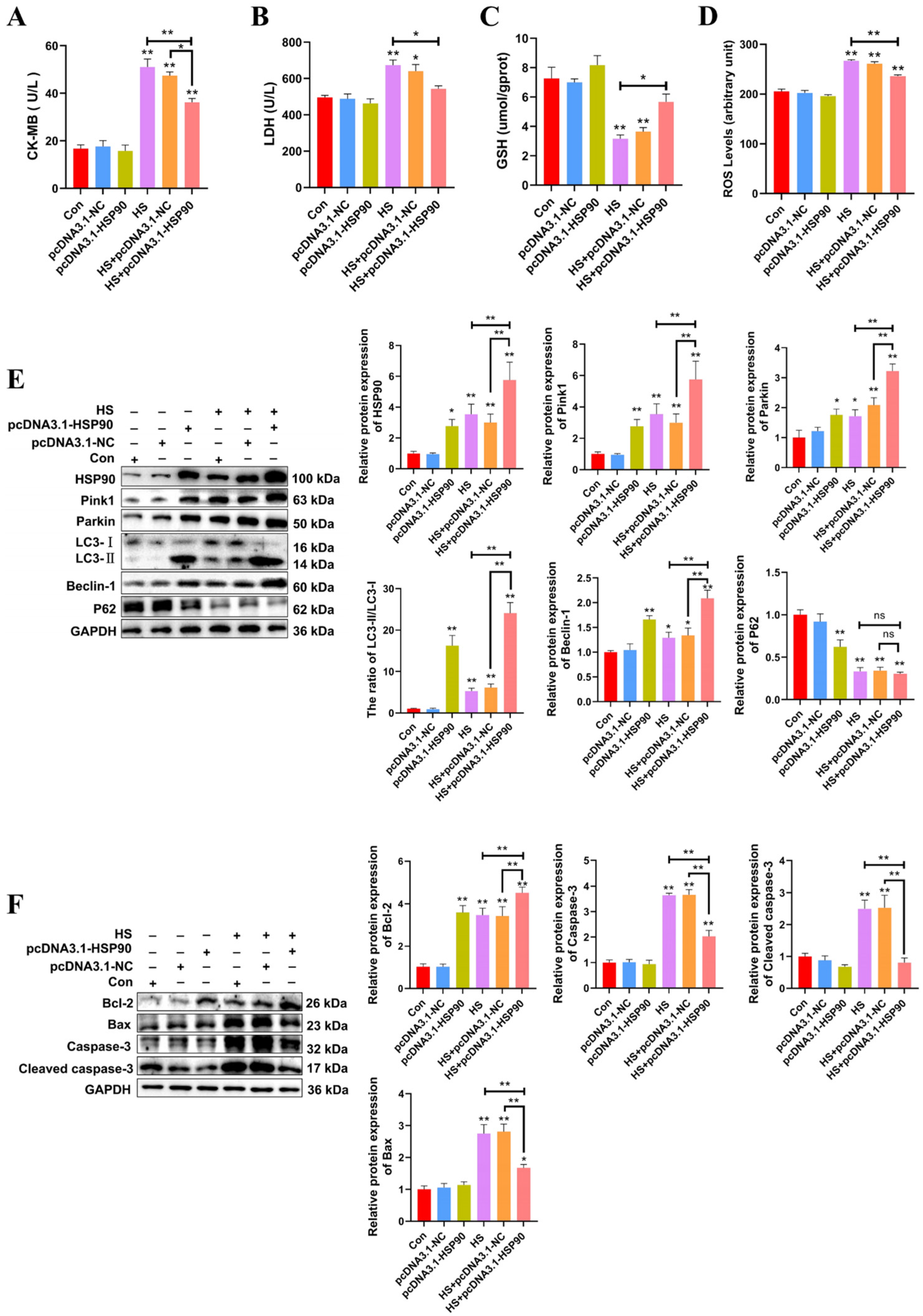 Ijms 25 11695 g005 Ijms 25 11695 g005