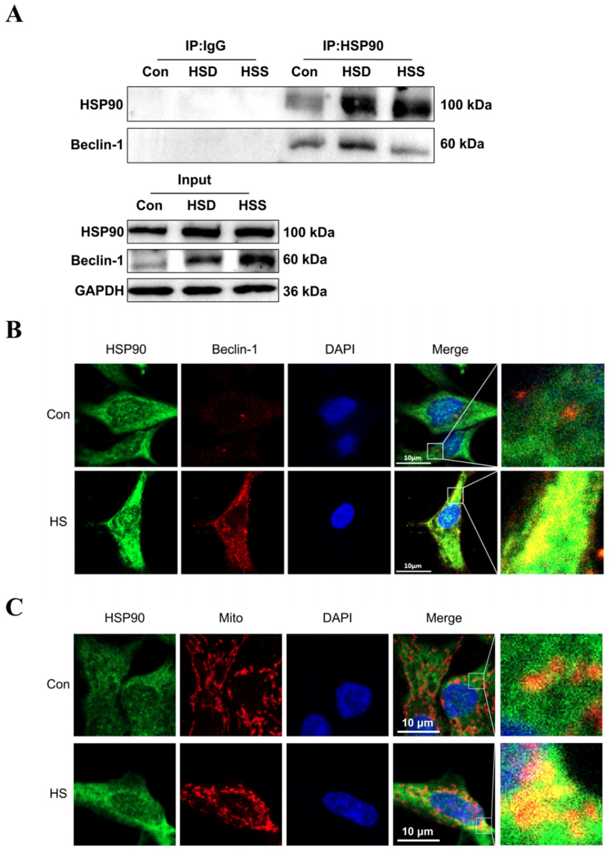 Ijms 25 11695 g007 Ijms 25 11695 g007